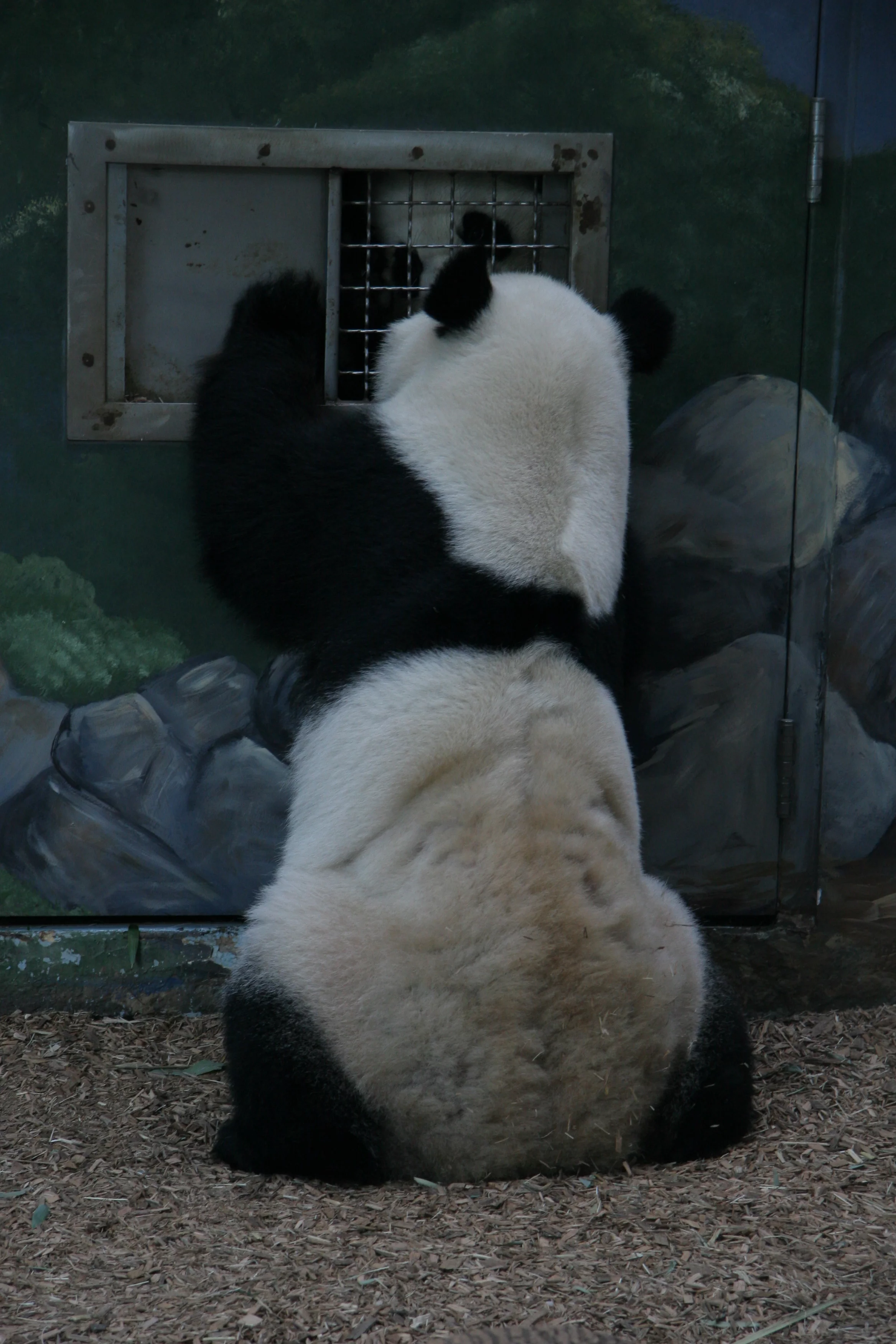 Zoo Atlanta