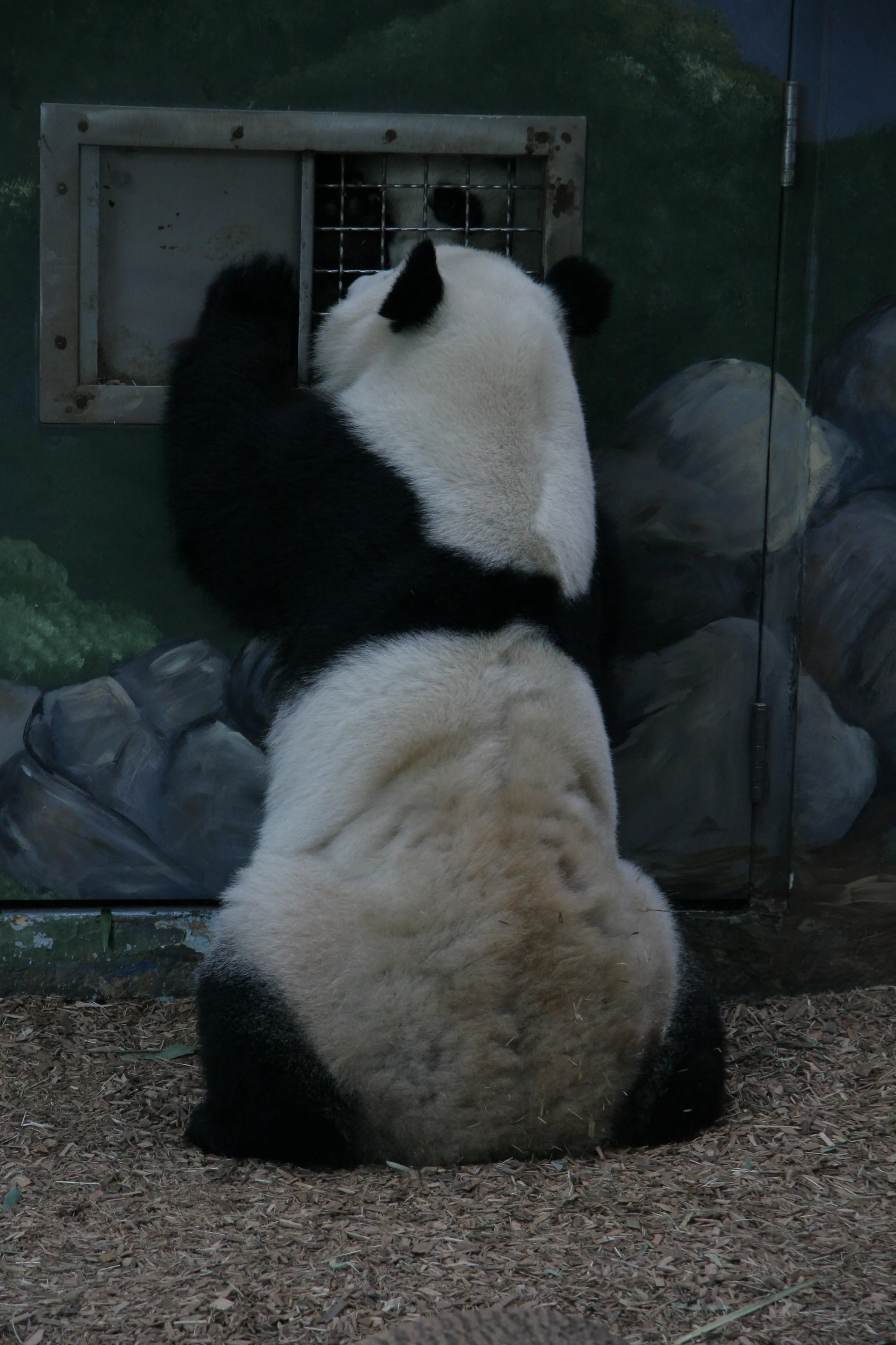 Zoo Atlanta