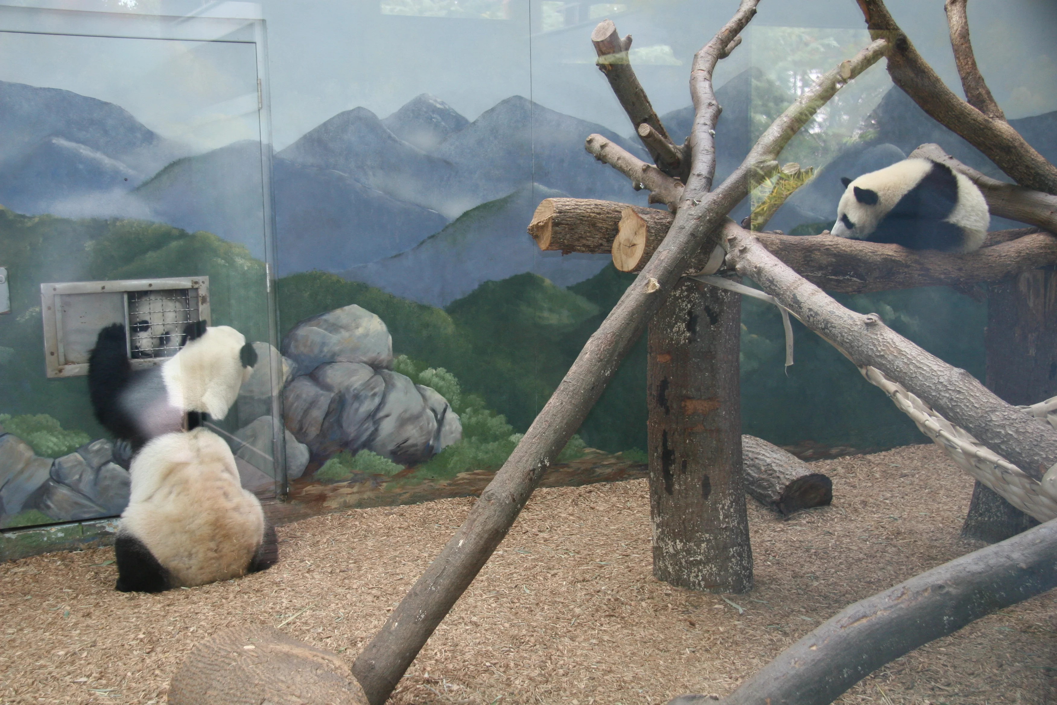 Zoo Atlanta