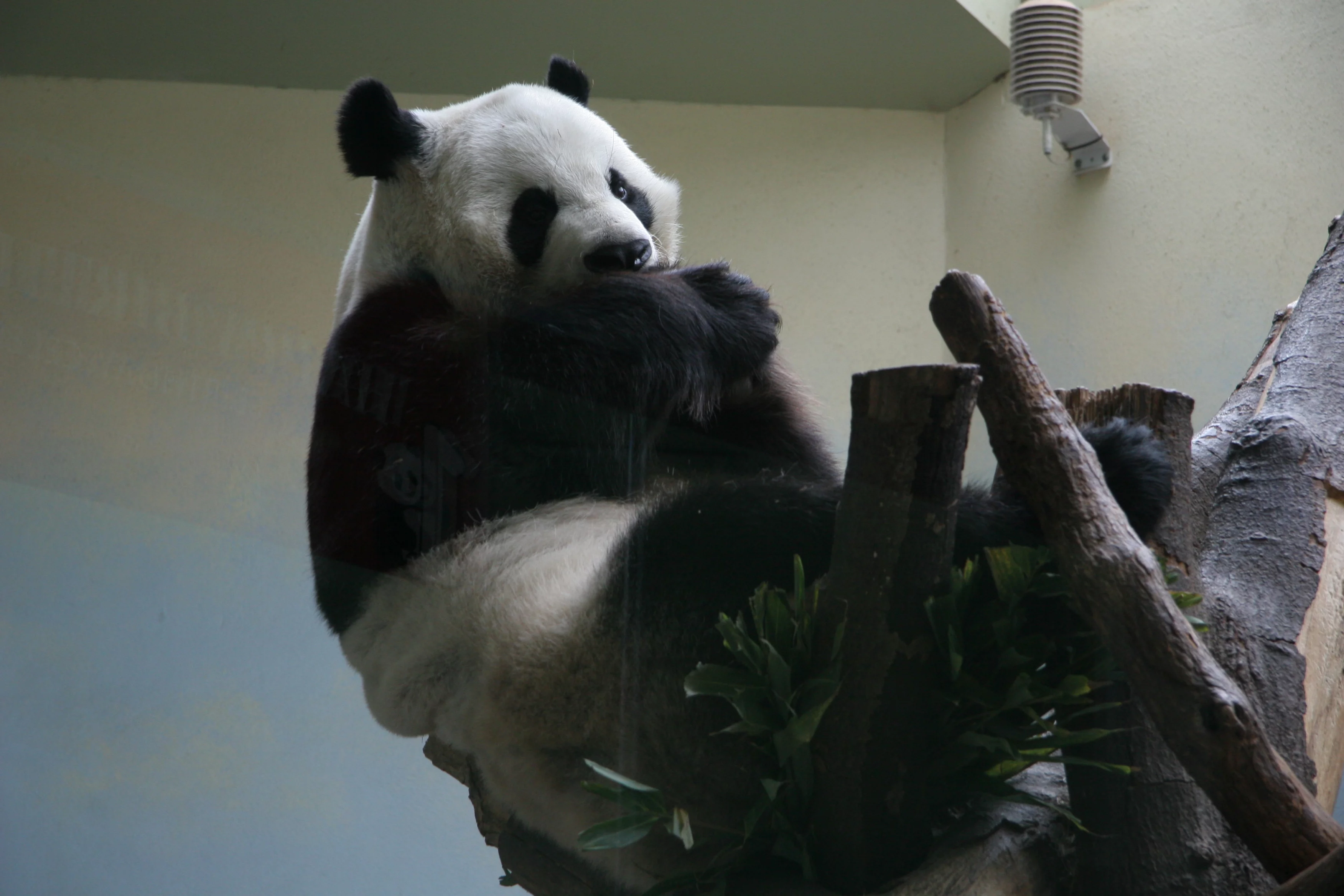 Zoo Atlanta