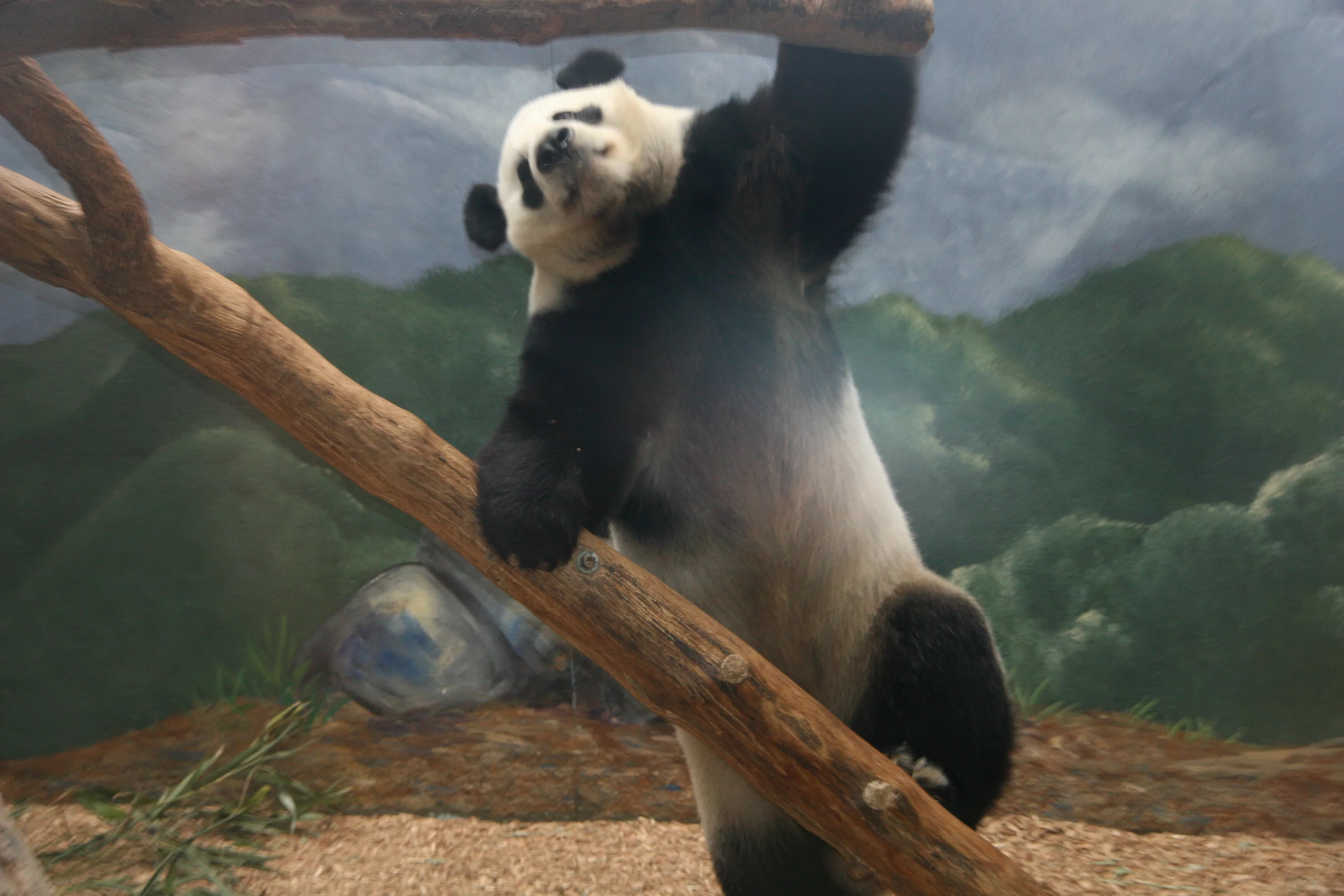 Zoo Atlanta