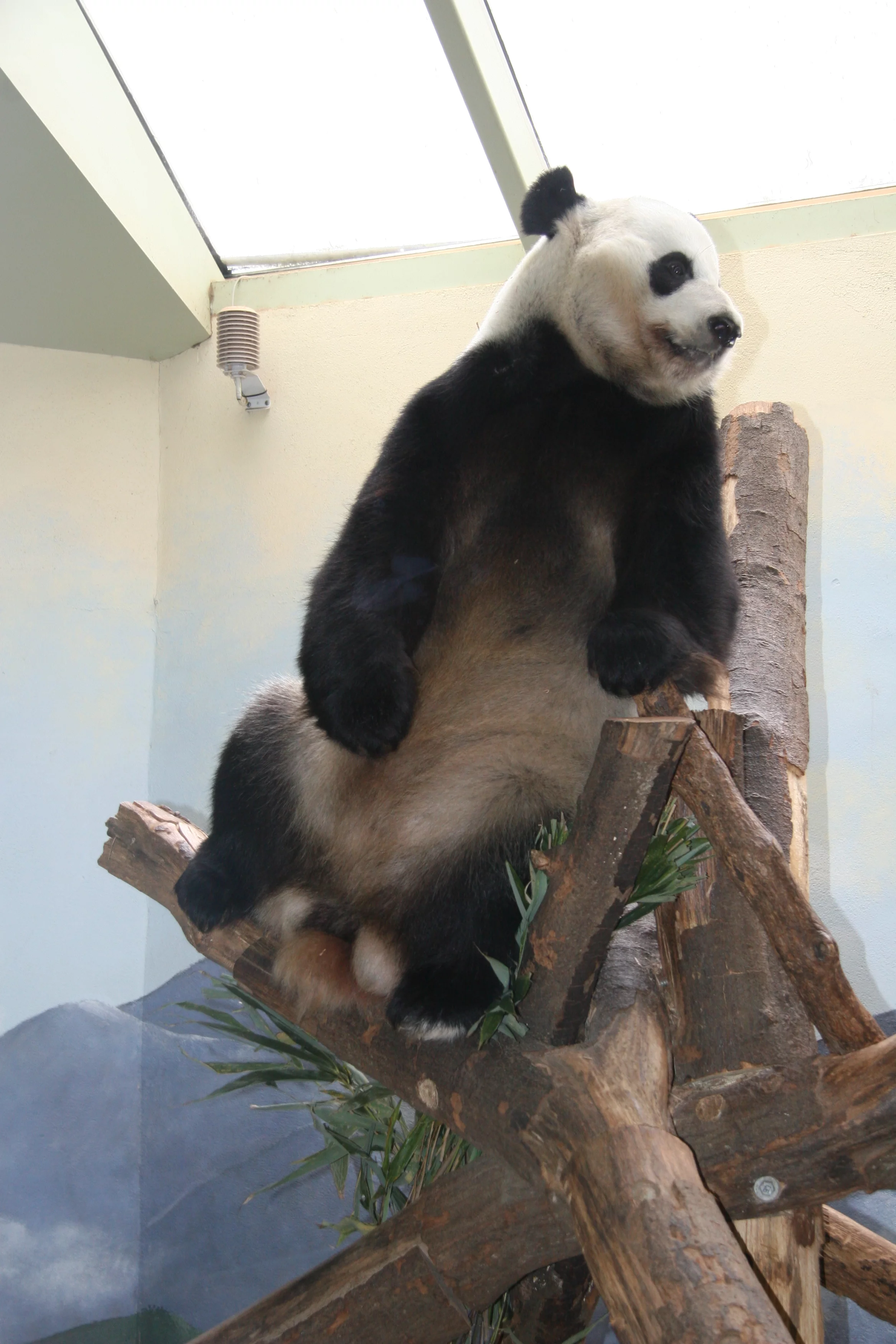Zoo Atlanta