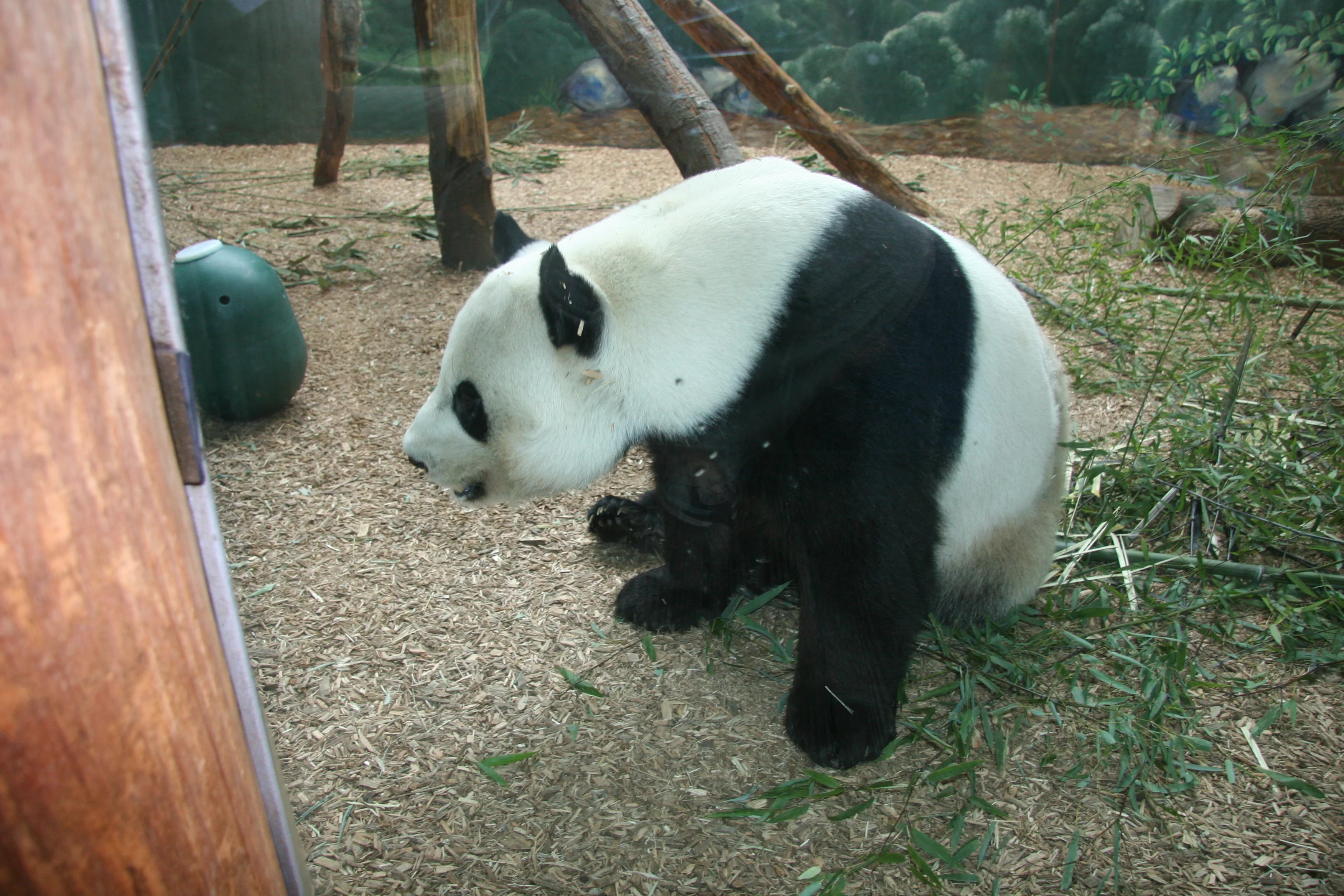 Zoo Atlanta