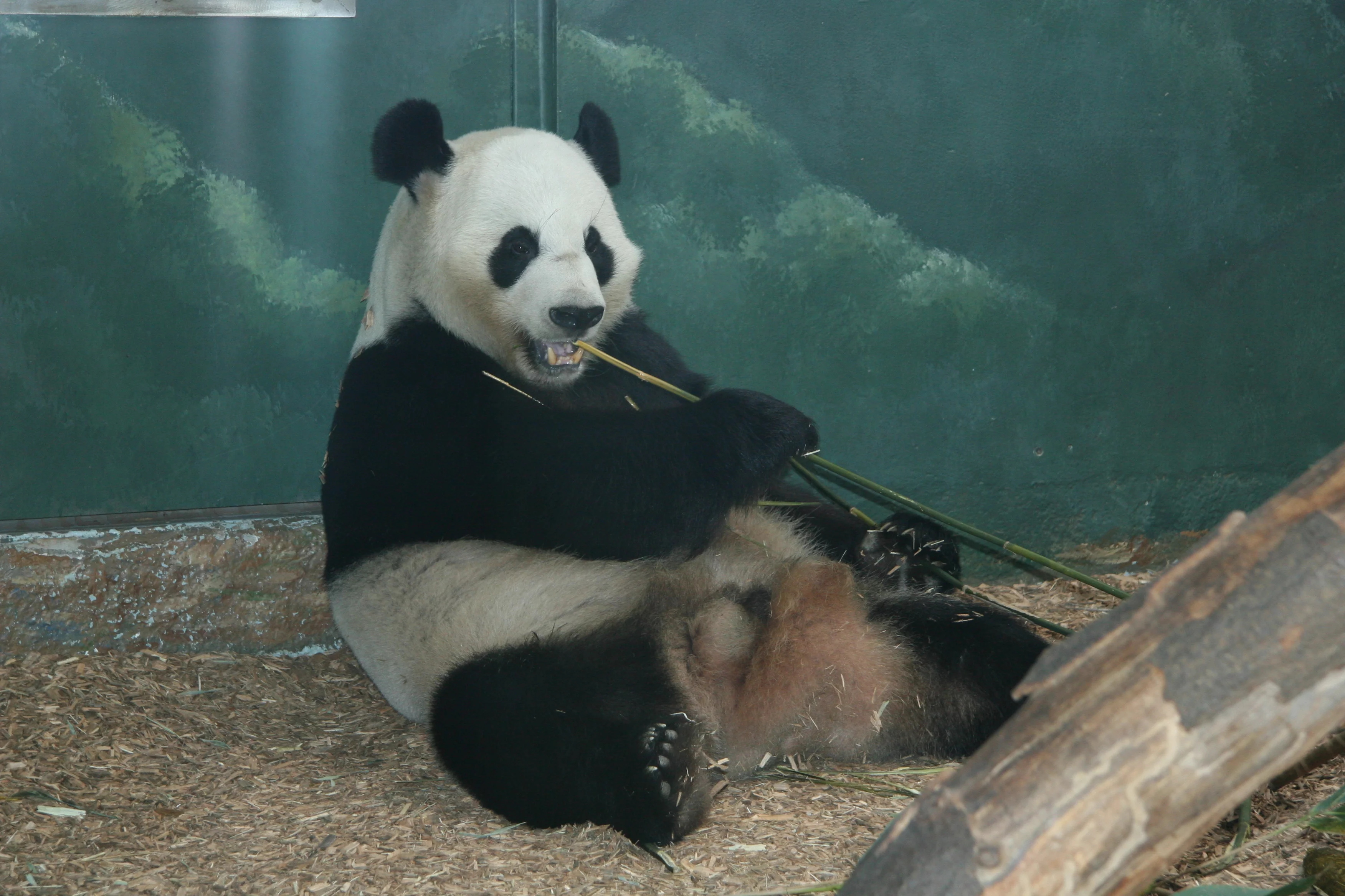 Zoo Atlanta