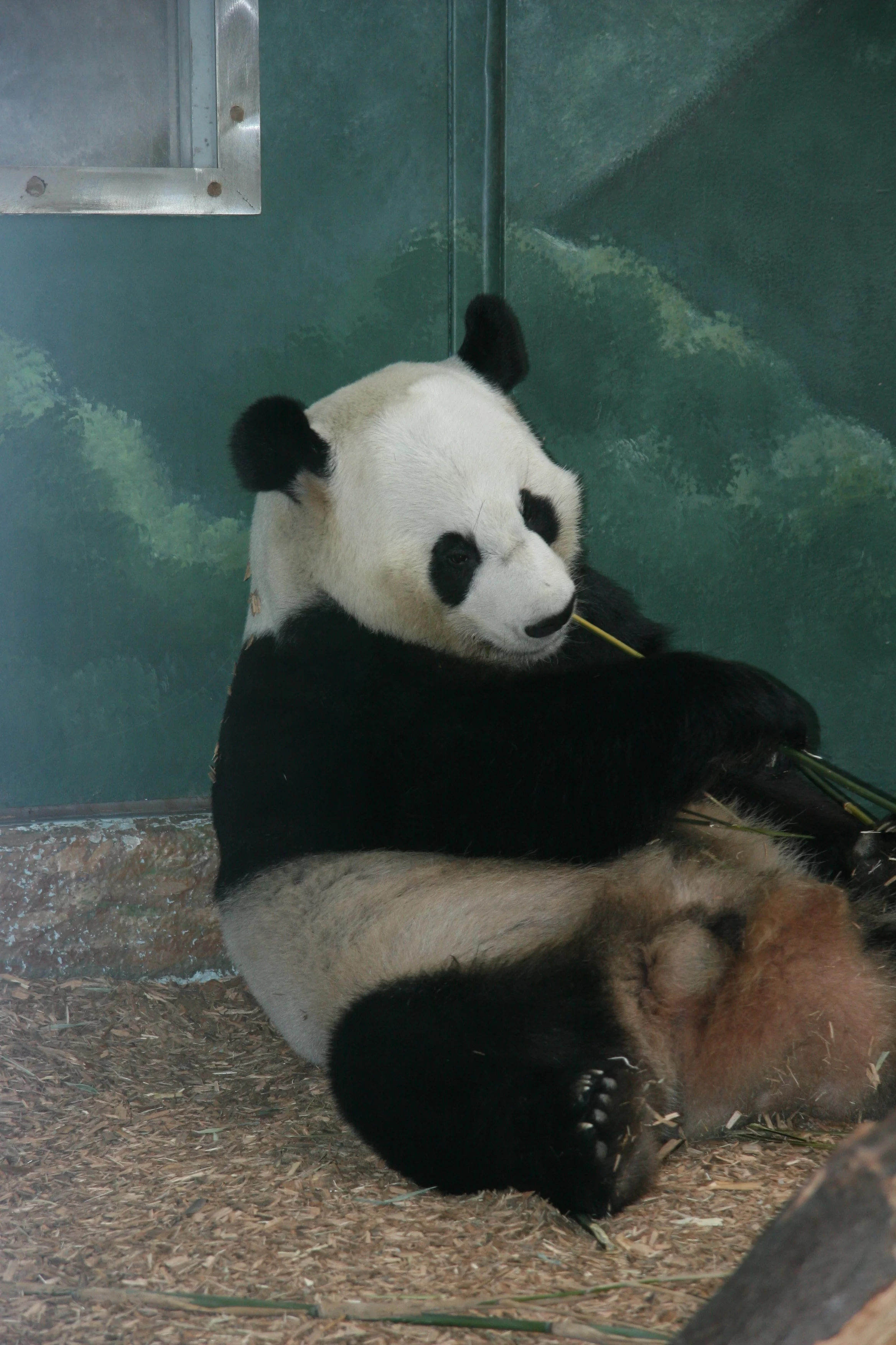 Zoo Atlanta