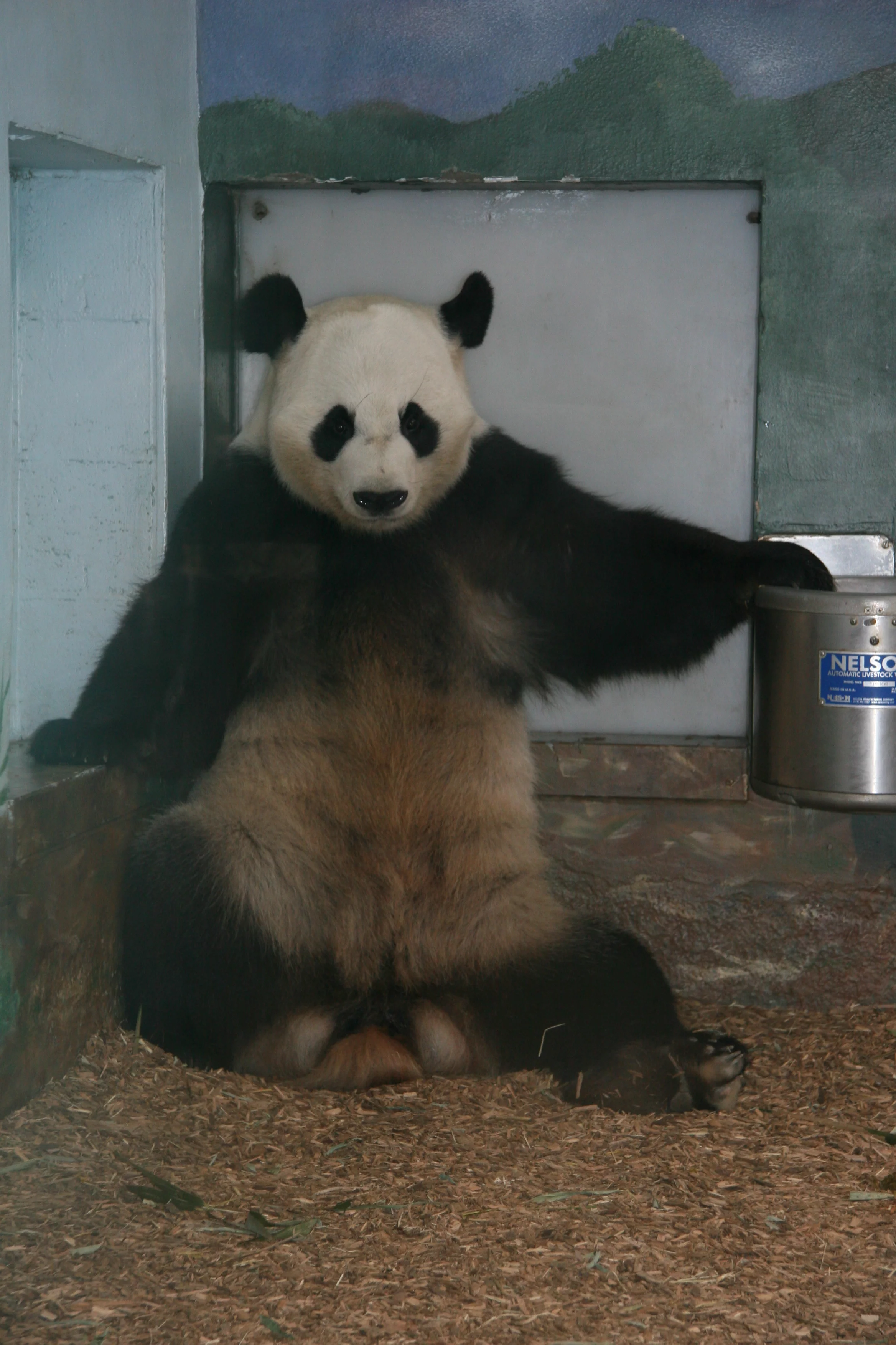 Zoo Atlanta