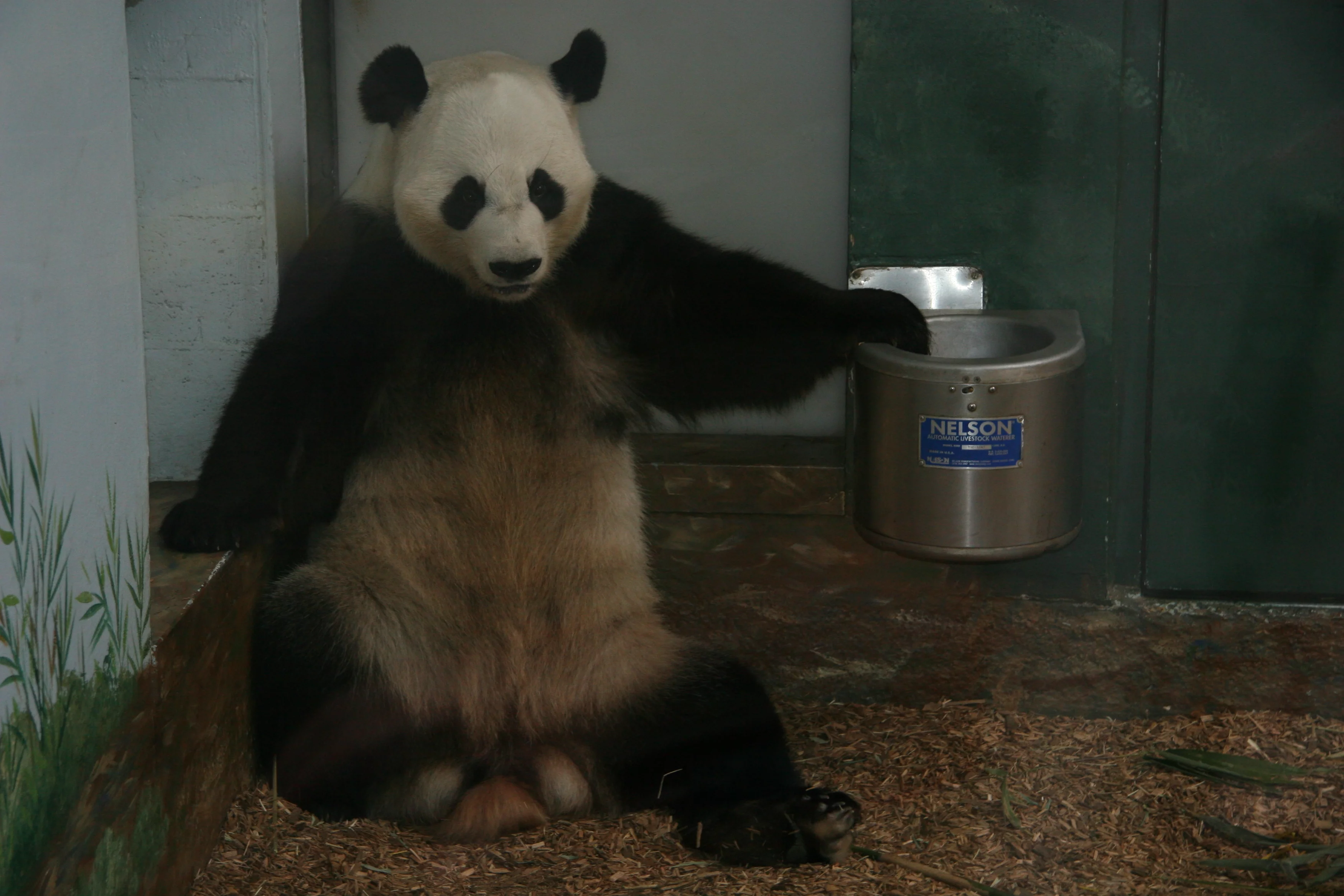 Zoo Atlanta