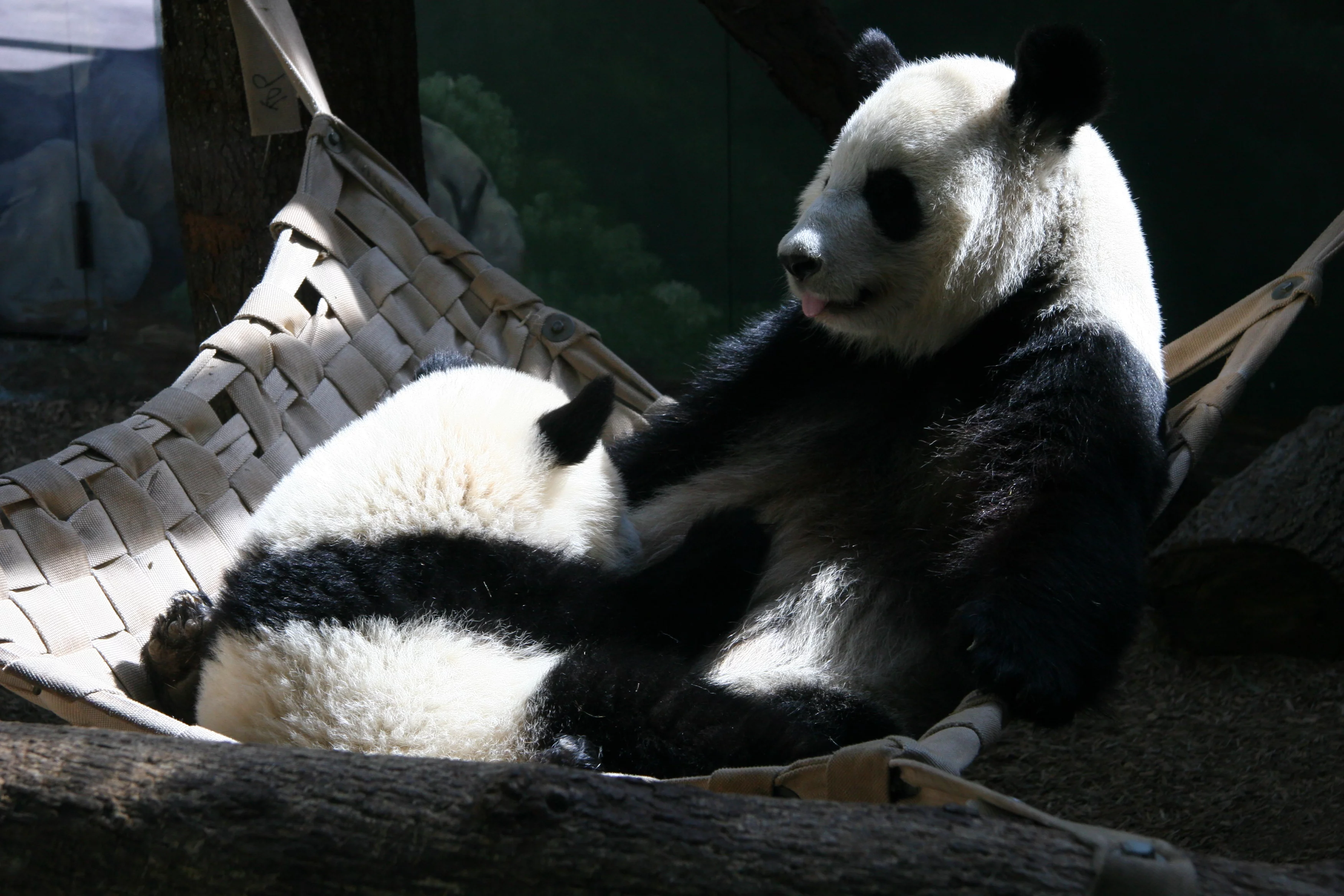 Zoo Atlanta