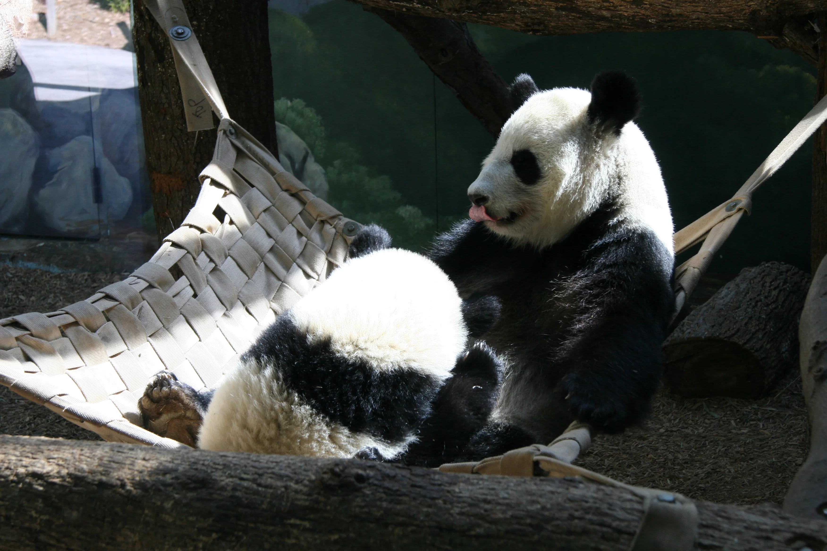 Zoo Atlanta