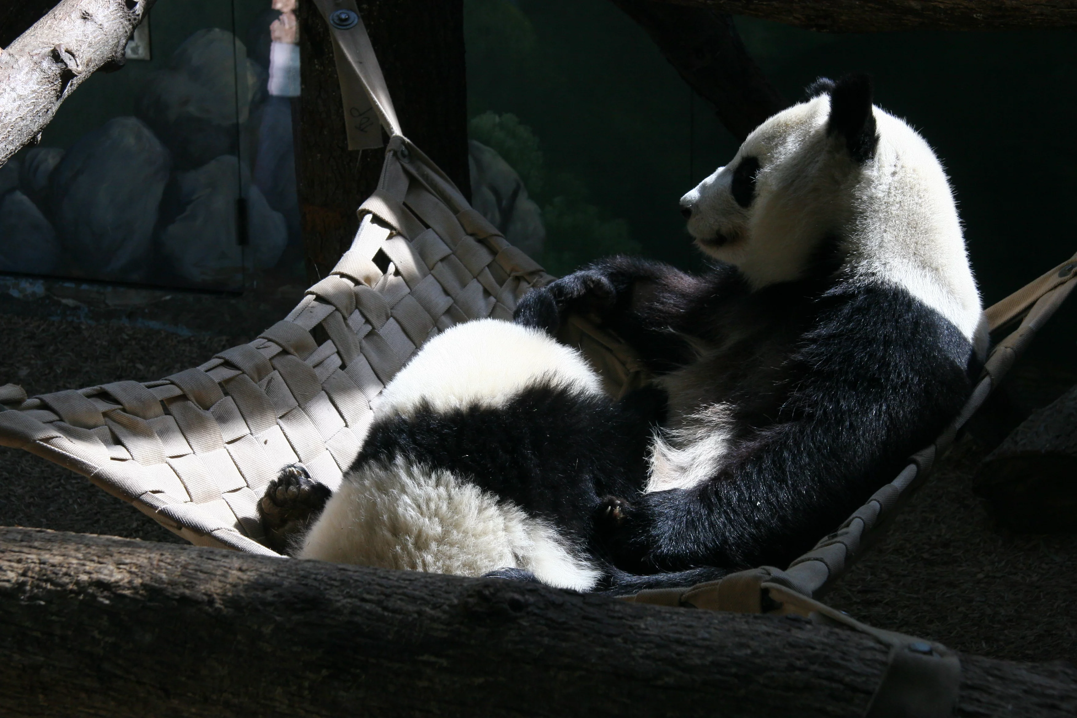 Zoo Atlanta