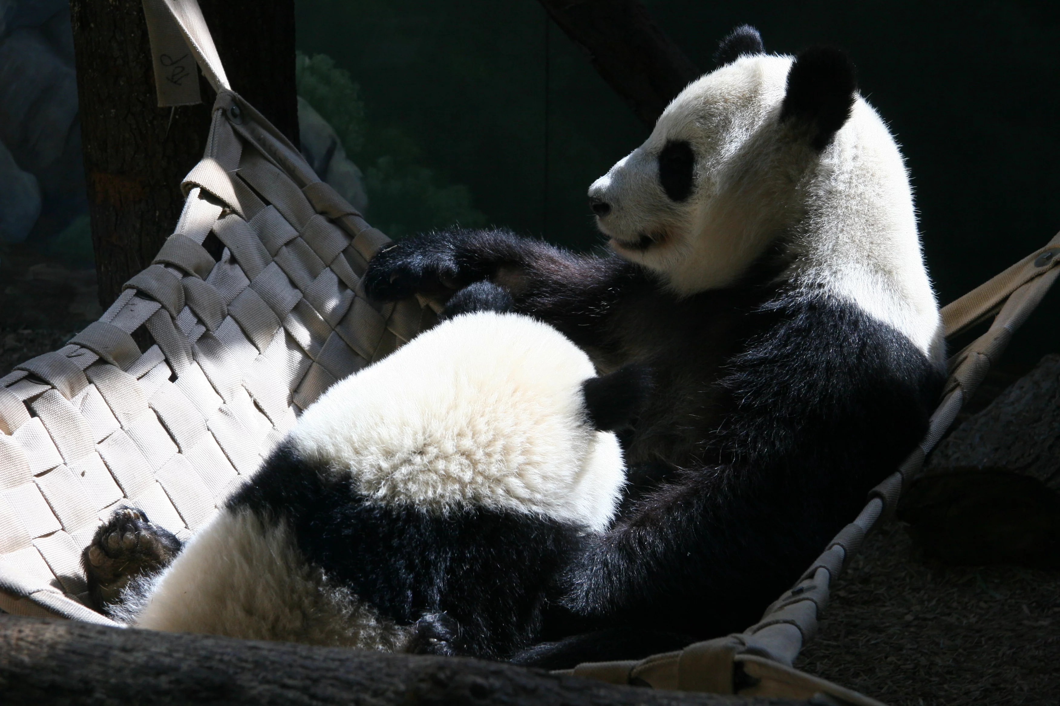 Zoo Atlanta