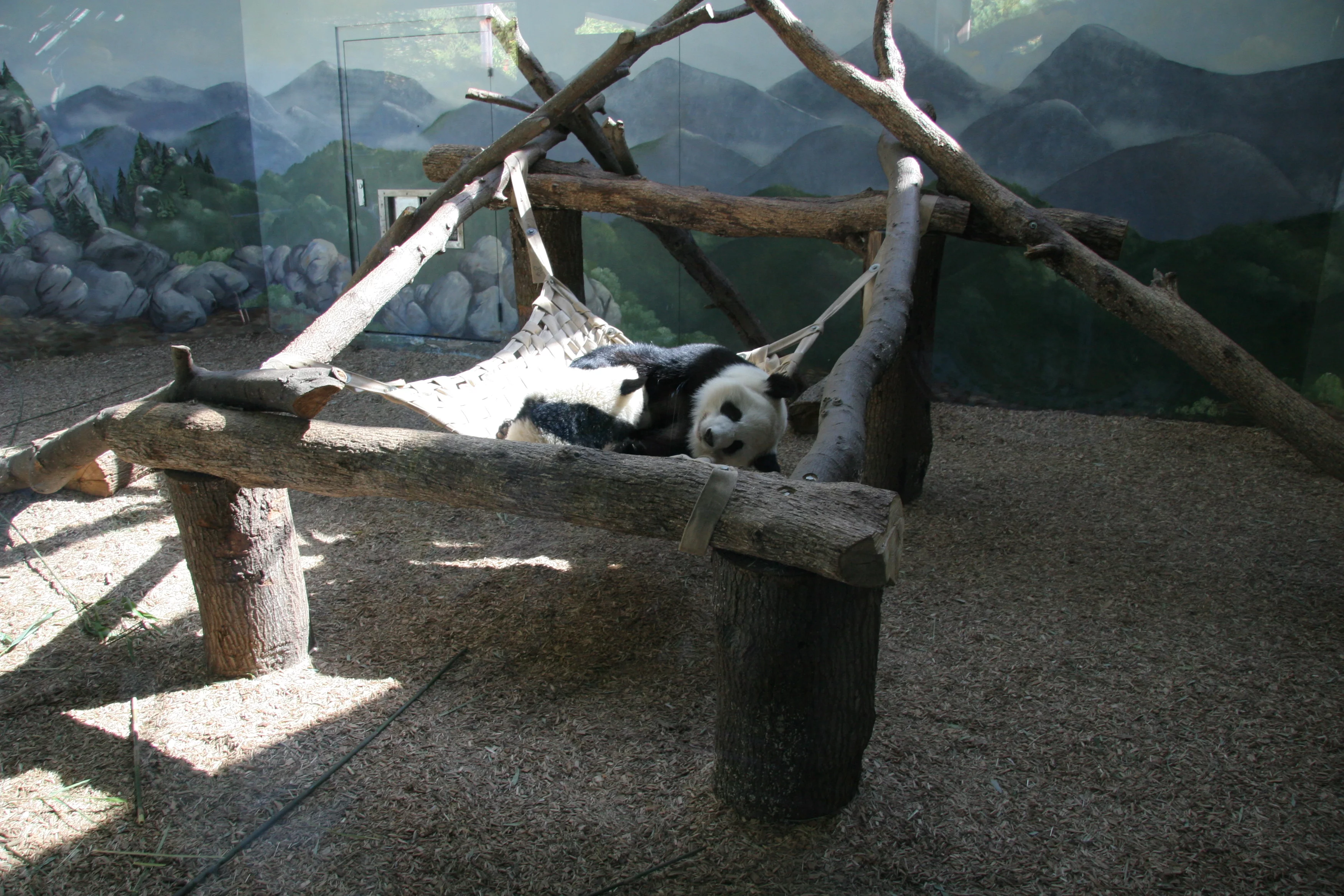 Zoo Atlanta