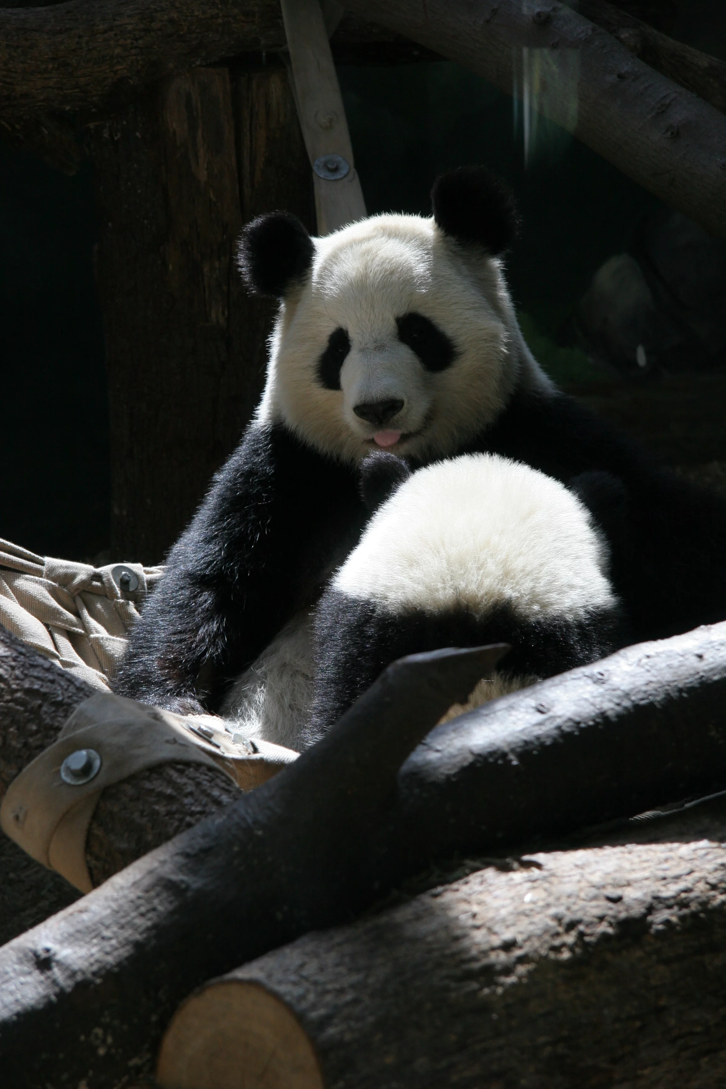 Zoo Atlanta