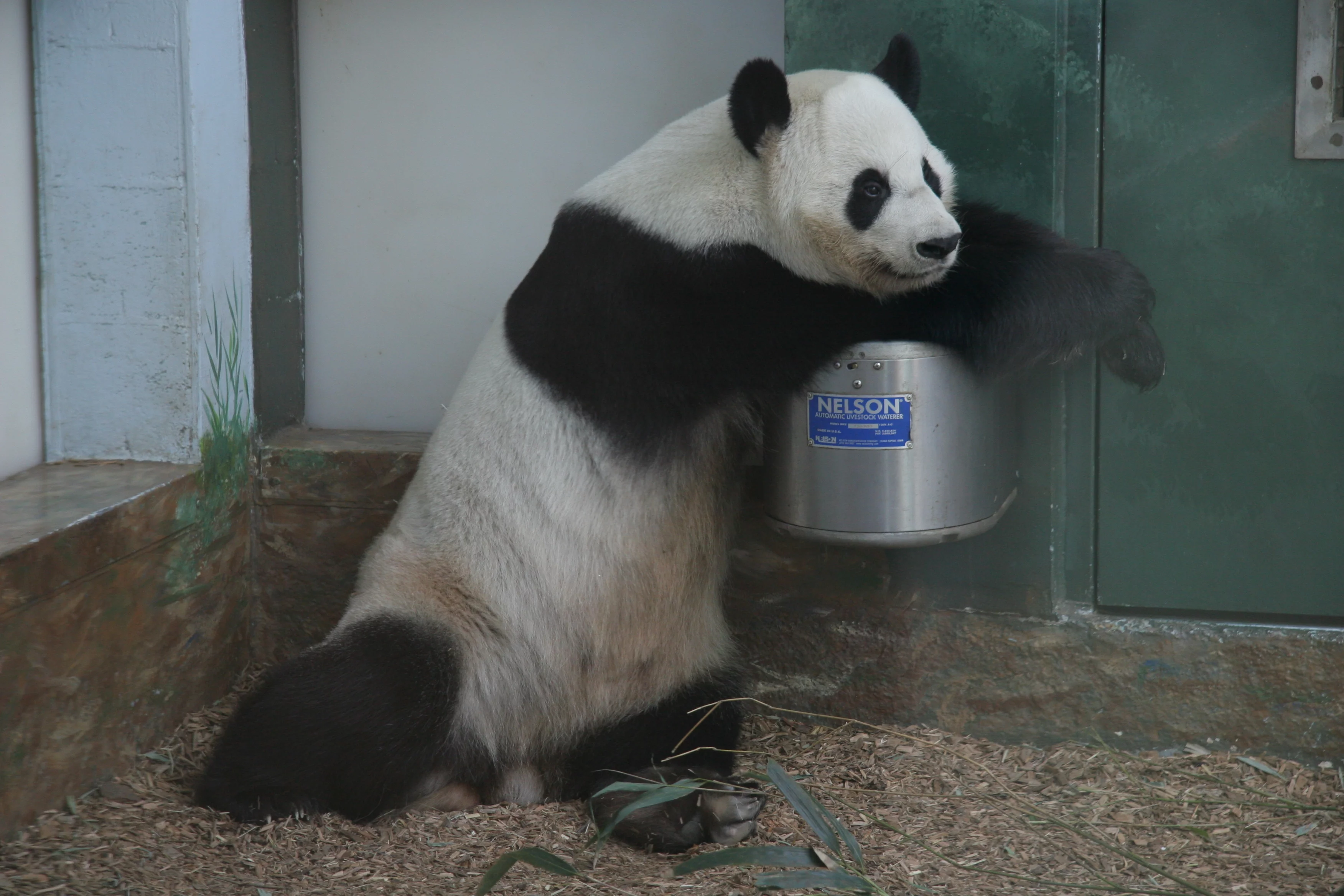 Zoo Atlanta