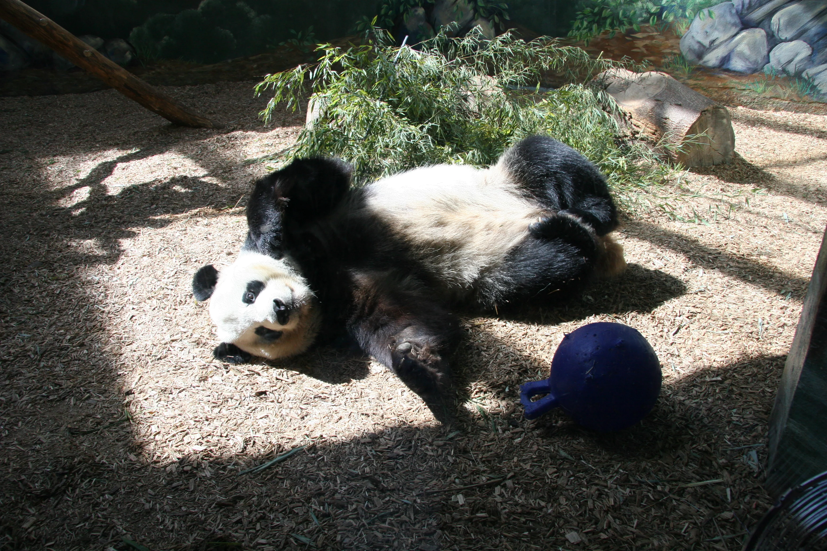 Zoo Atlanta