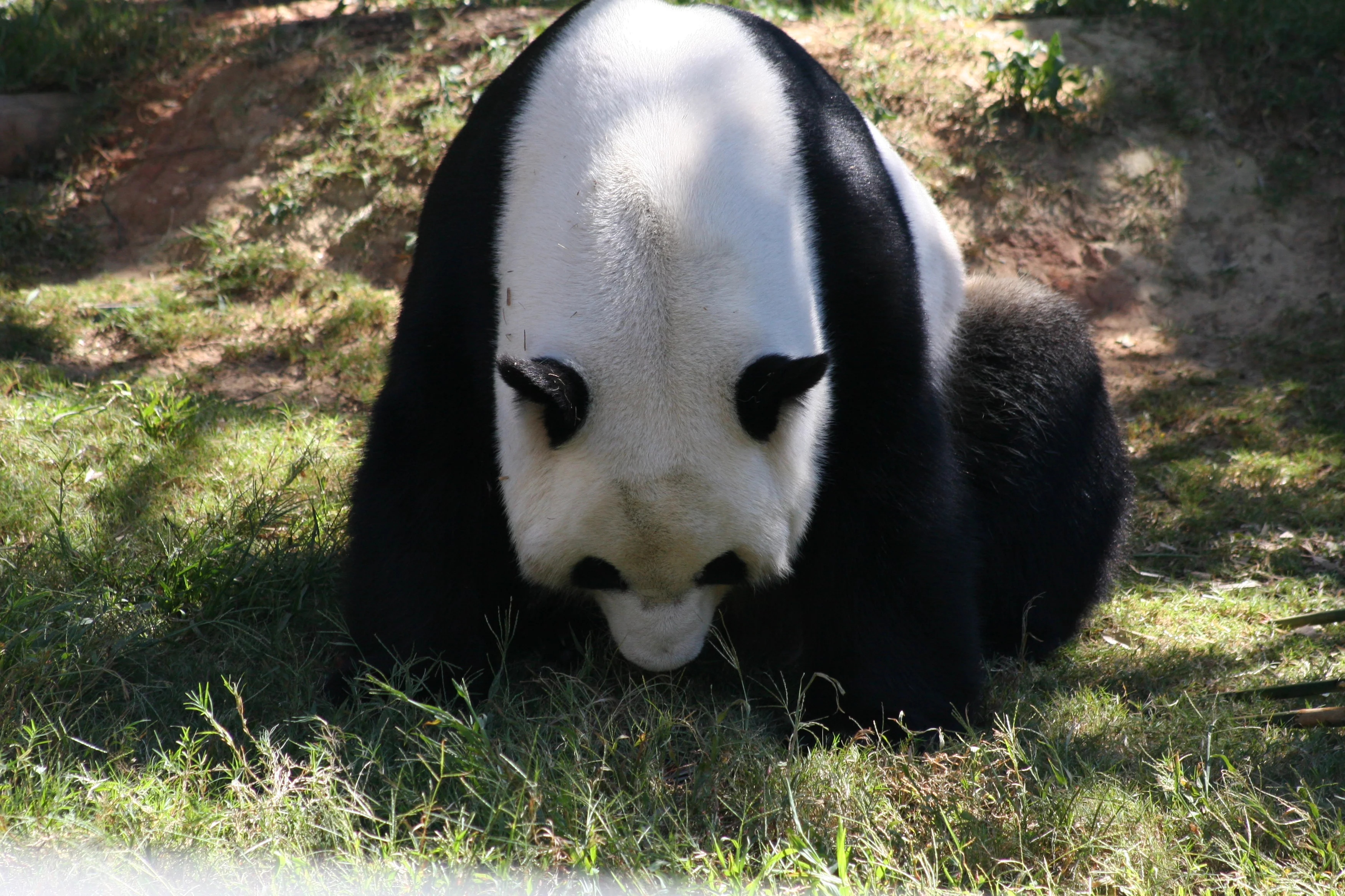 Zoo Atlanta