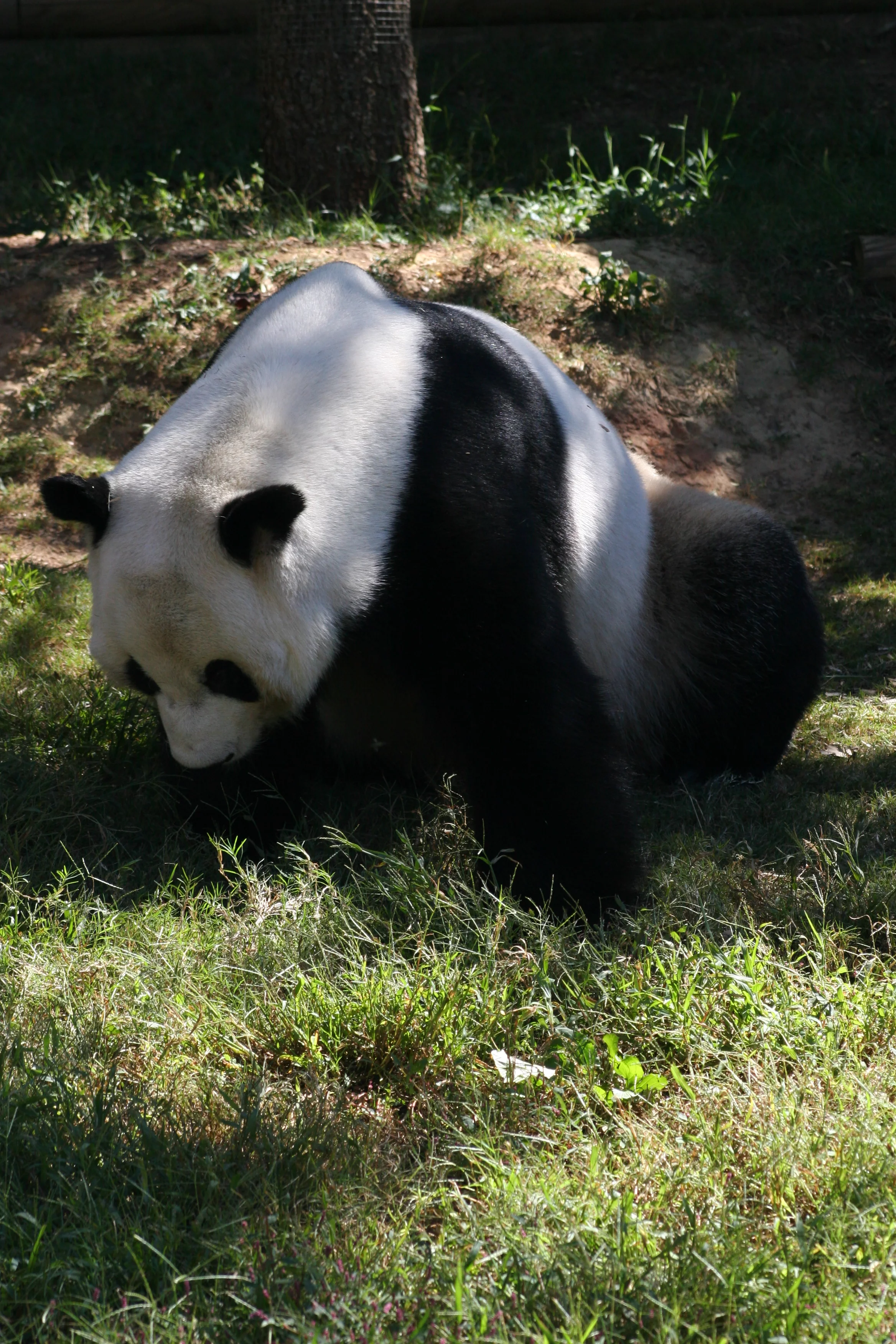 Zoo Atlanta