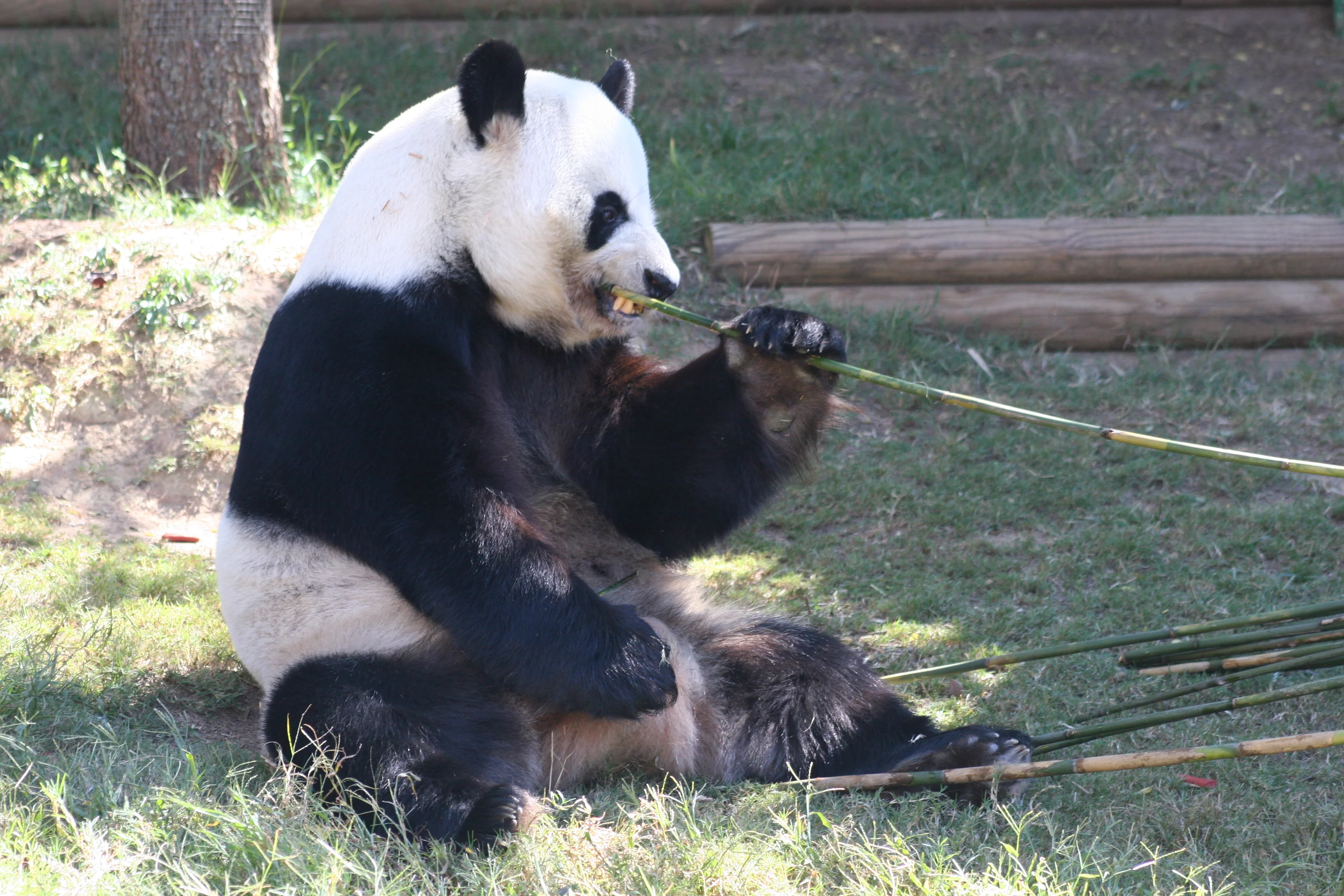Zoo Atlanta