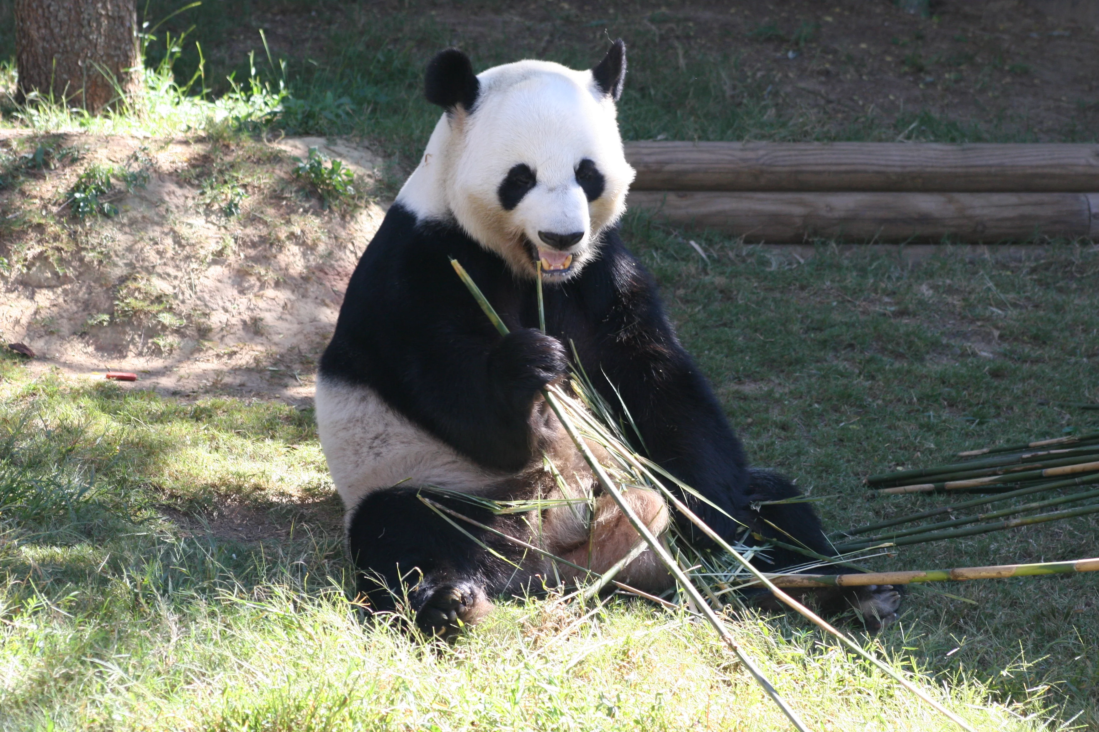 Zoo Atlanta