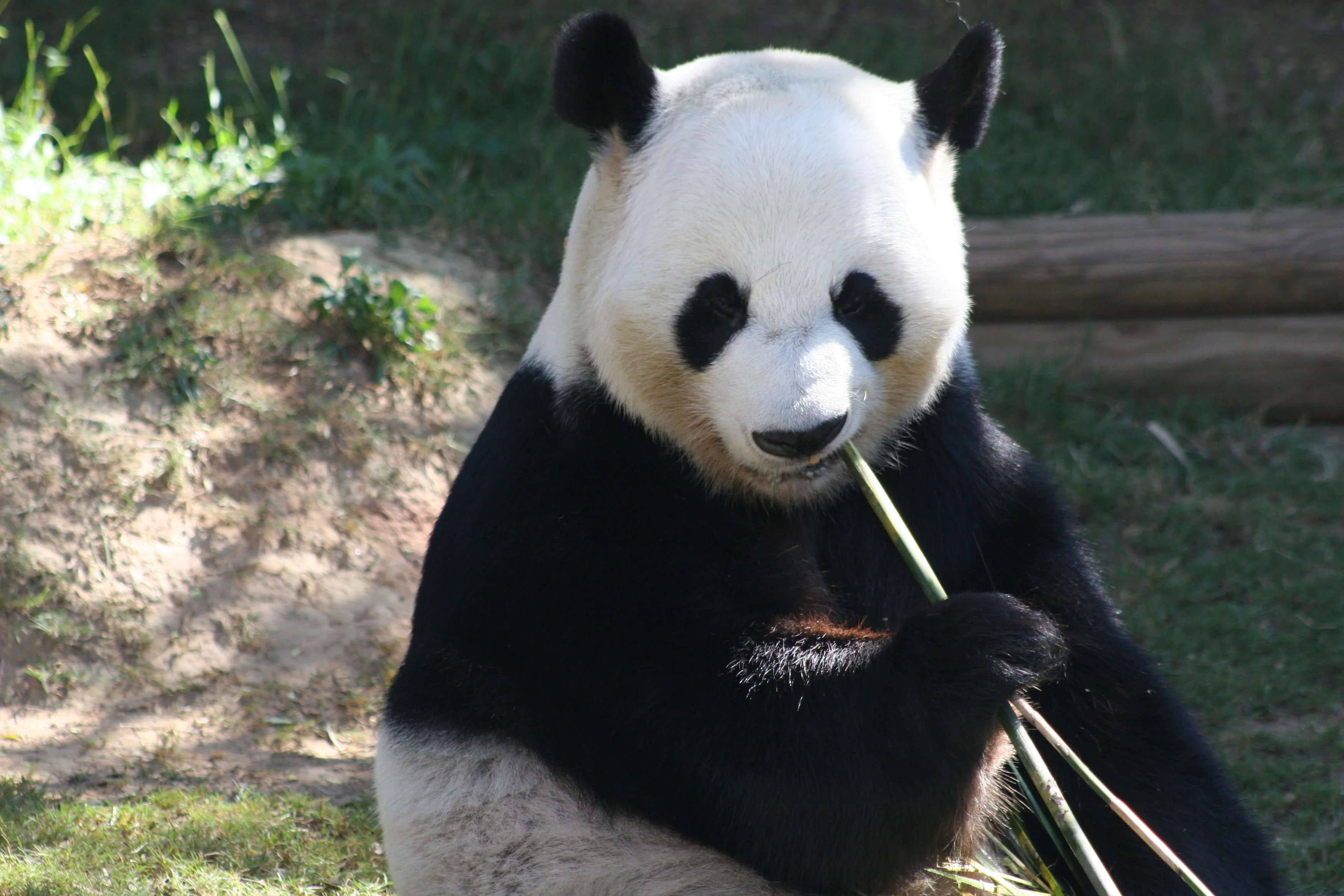 Zoo Atlanta