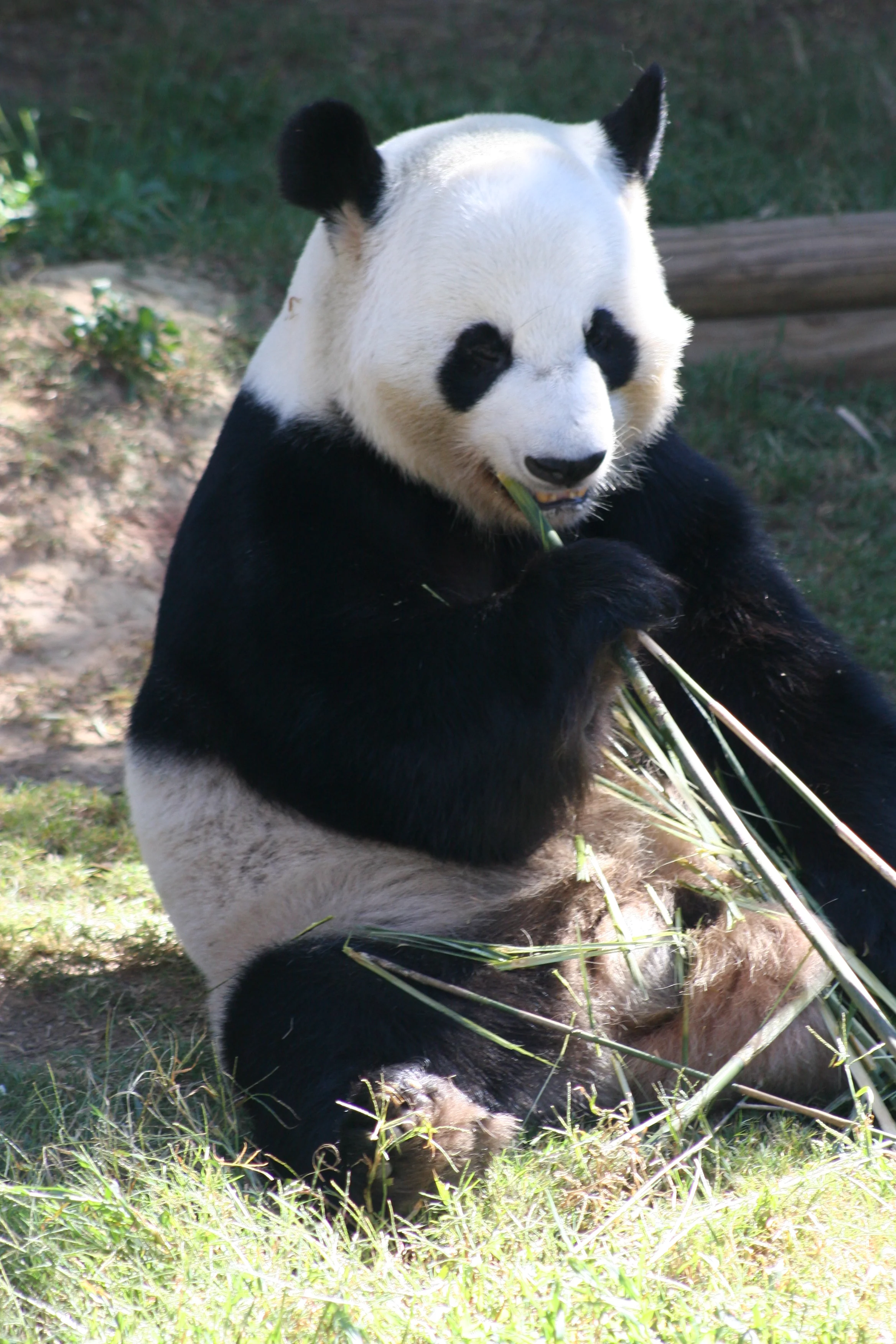 Zoo Atlanta