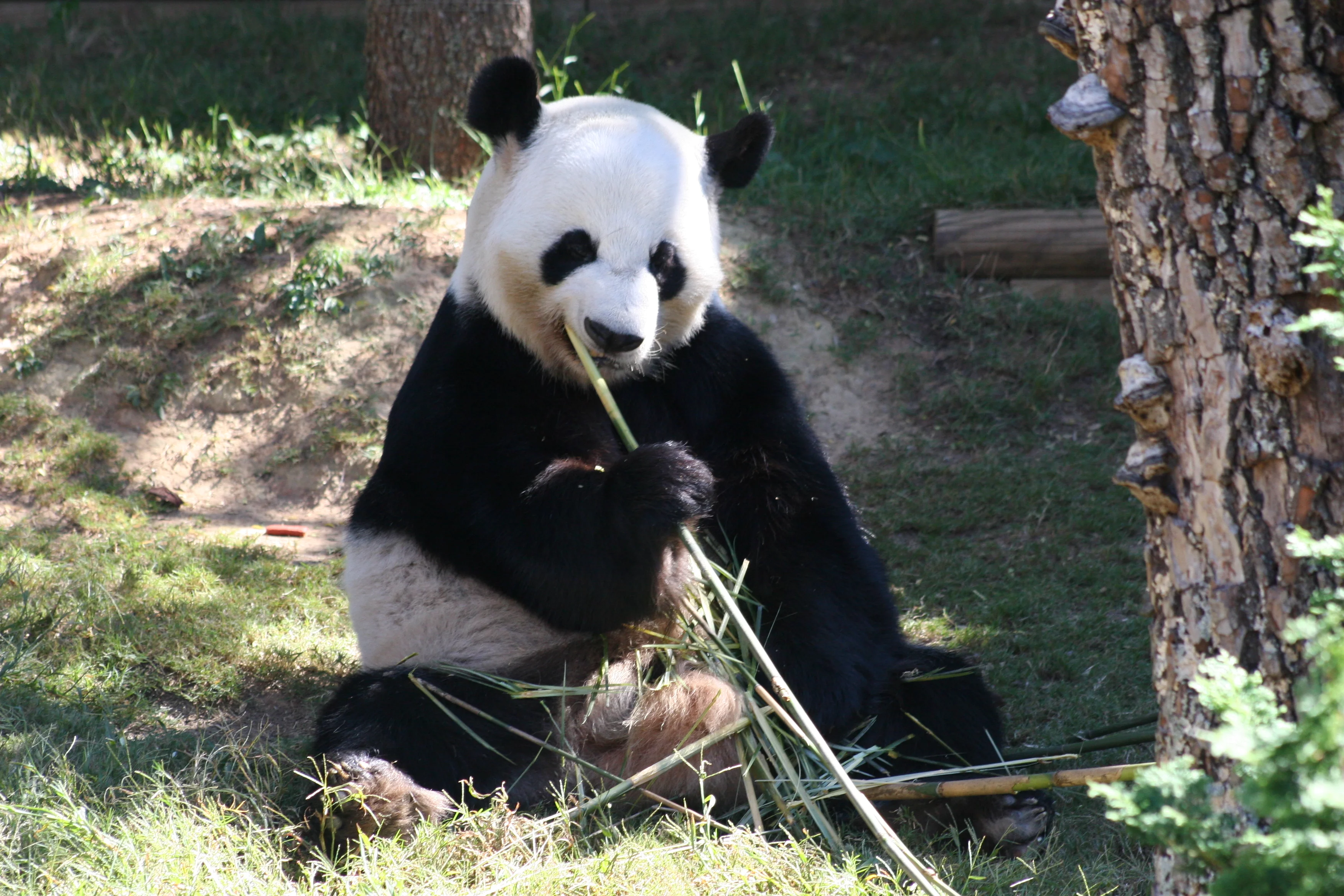 Zoo Atlanta