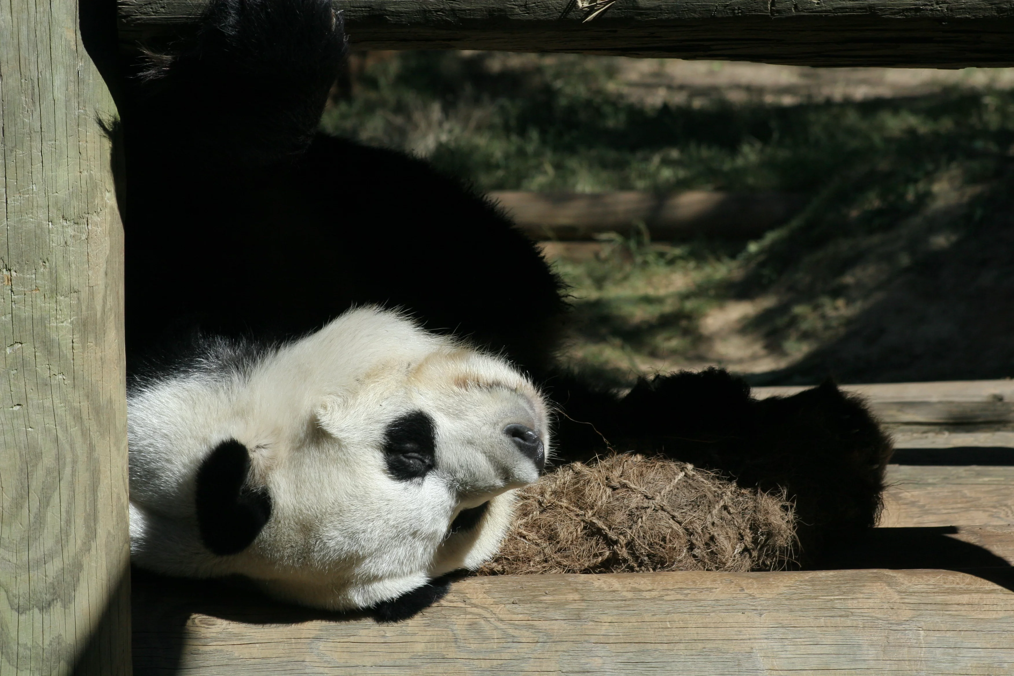 Zoo Atlanta