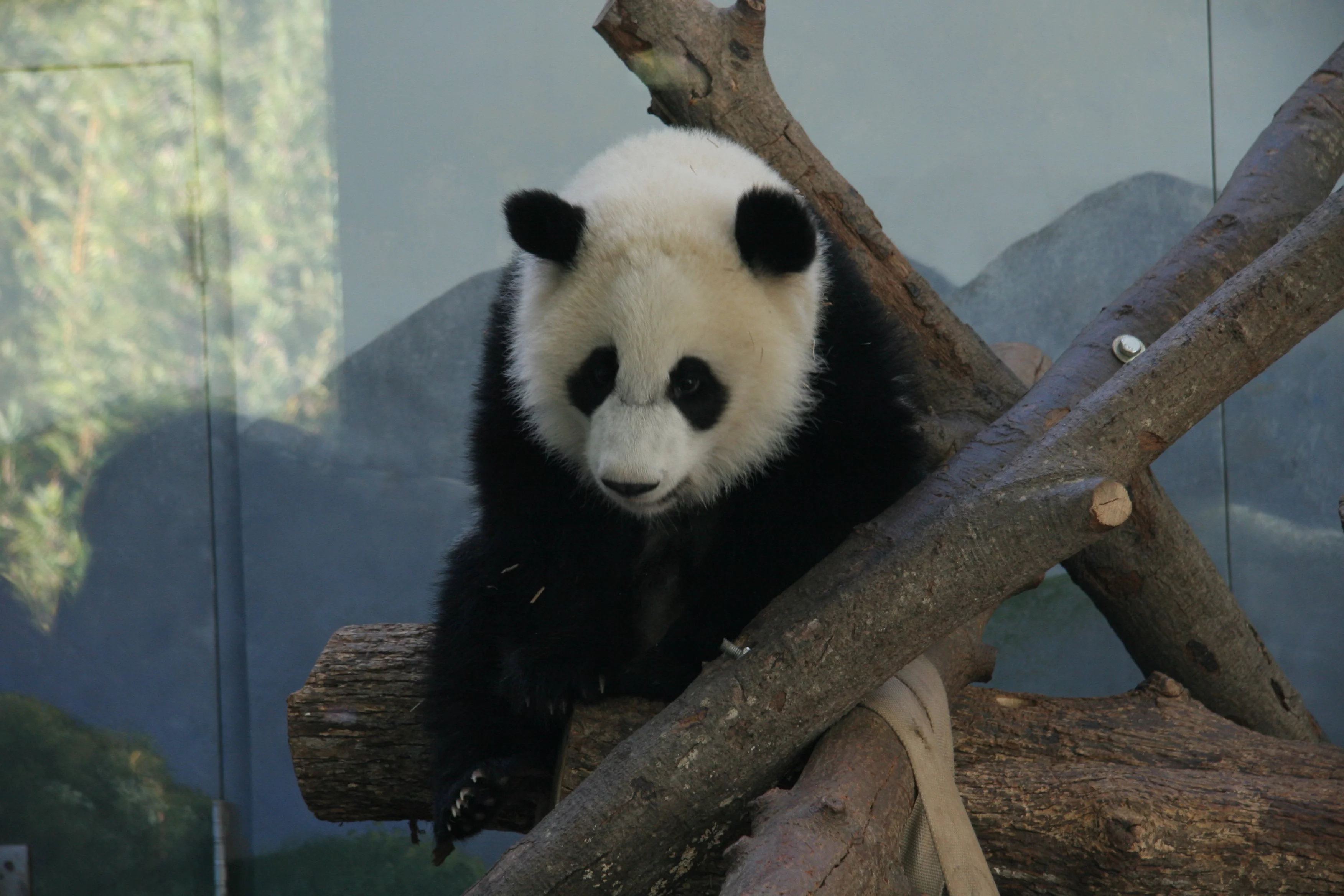 Zoo Atlanta