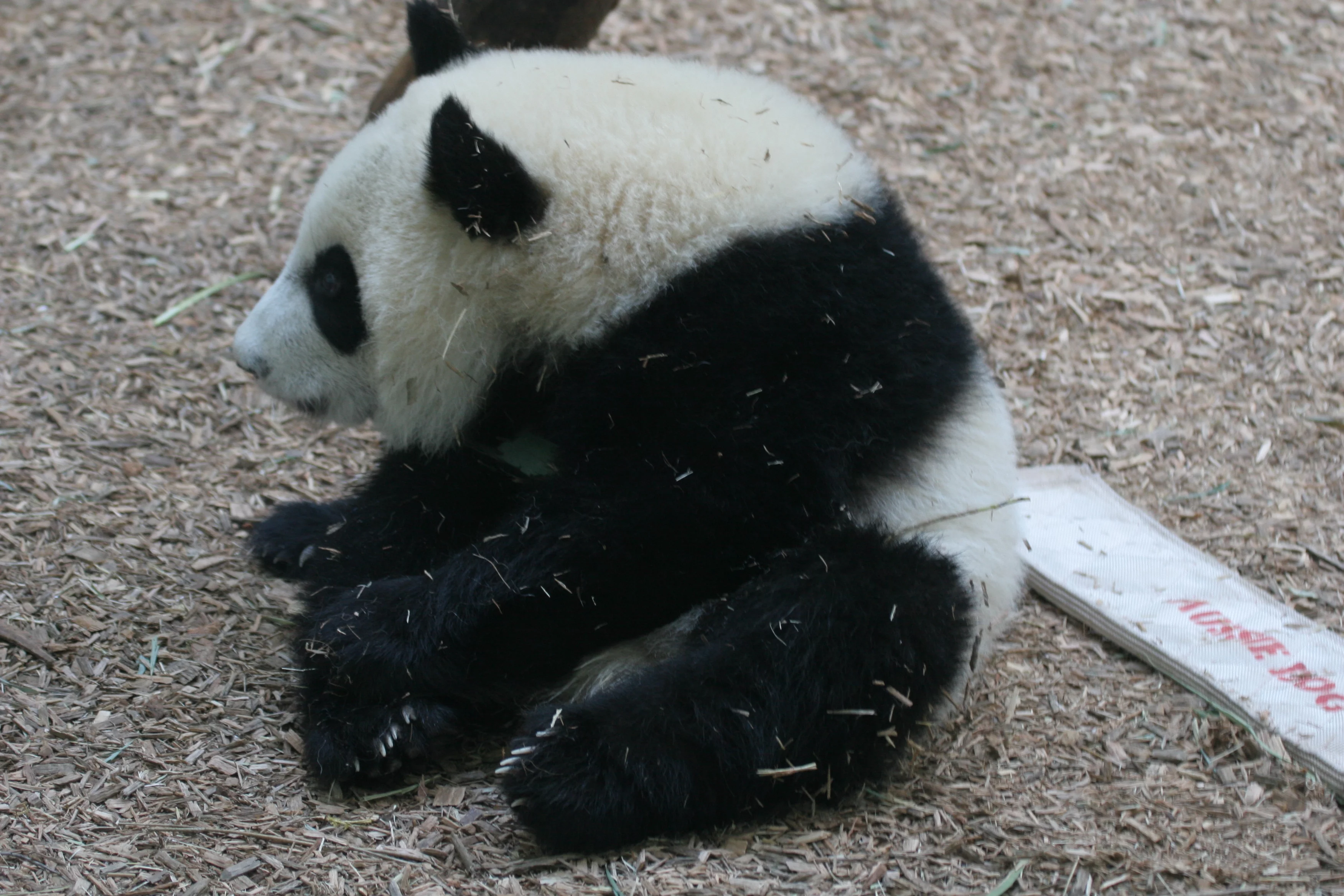 Zoo Atlanta