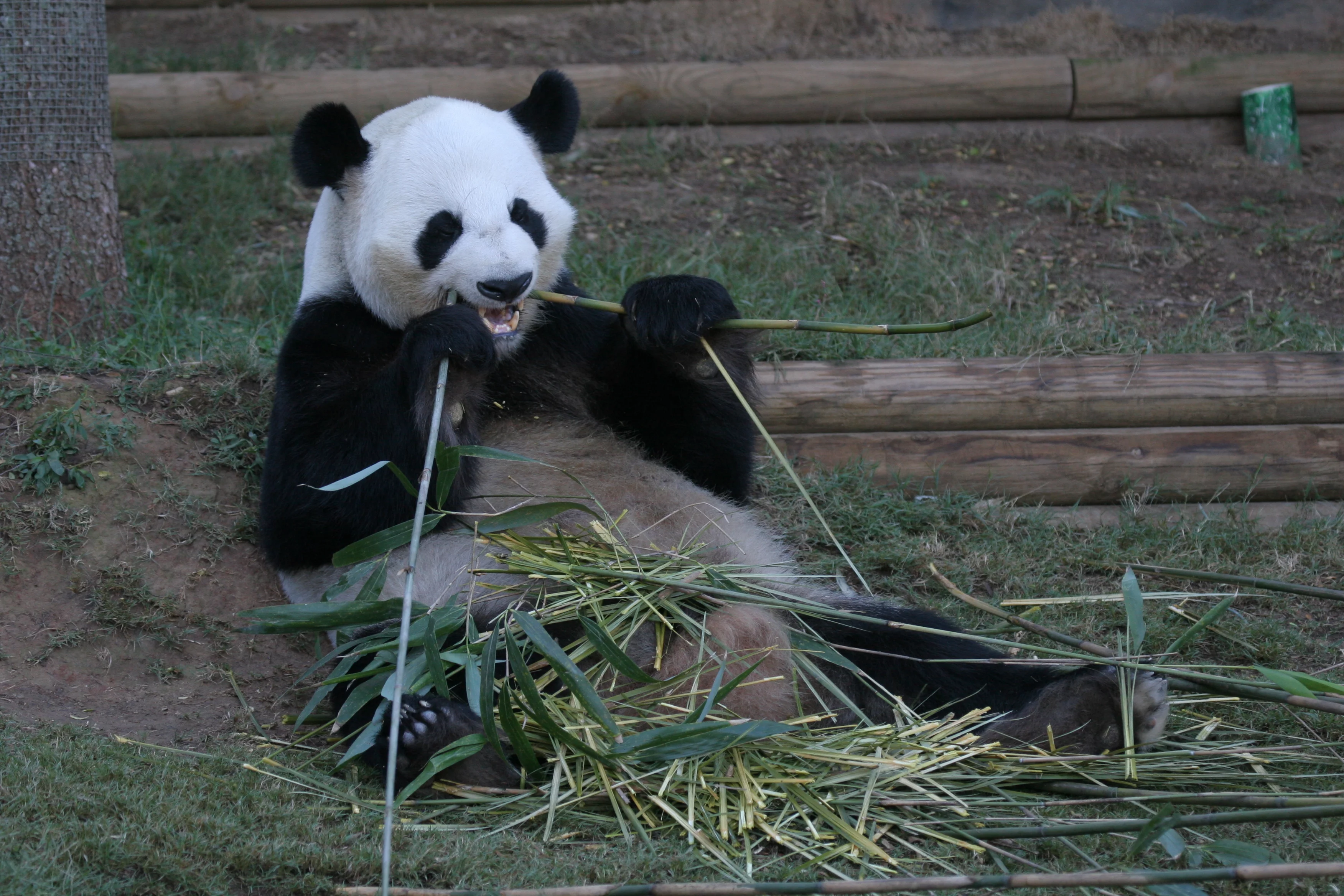 Zoo Atlanta