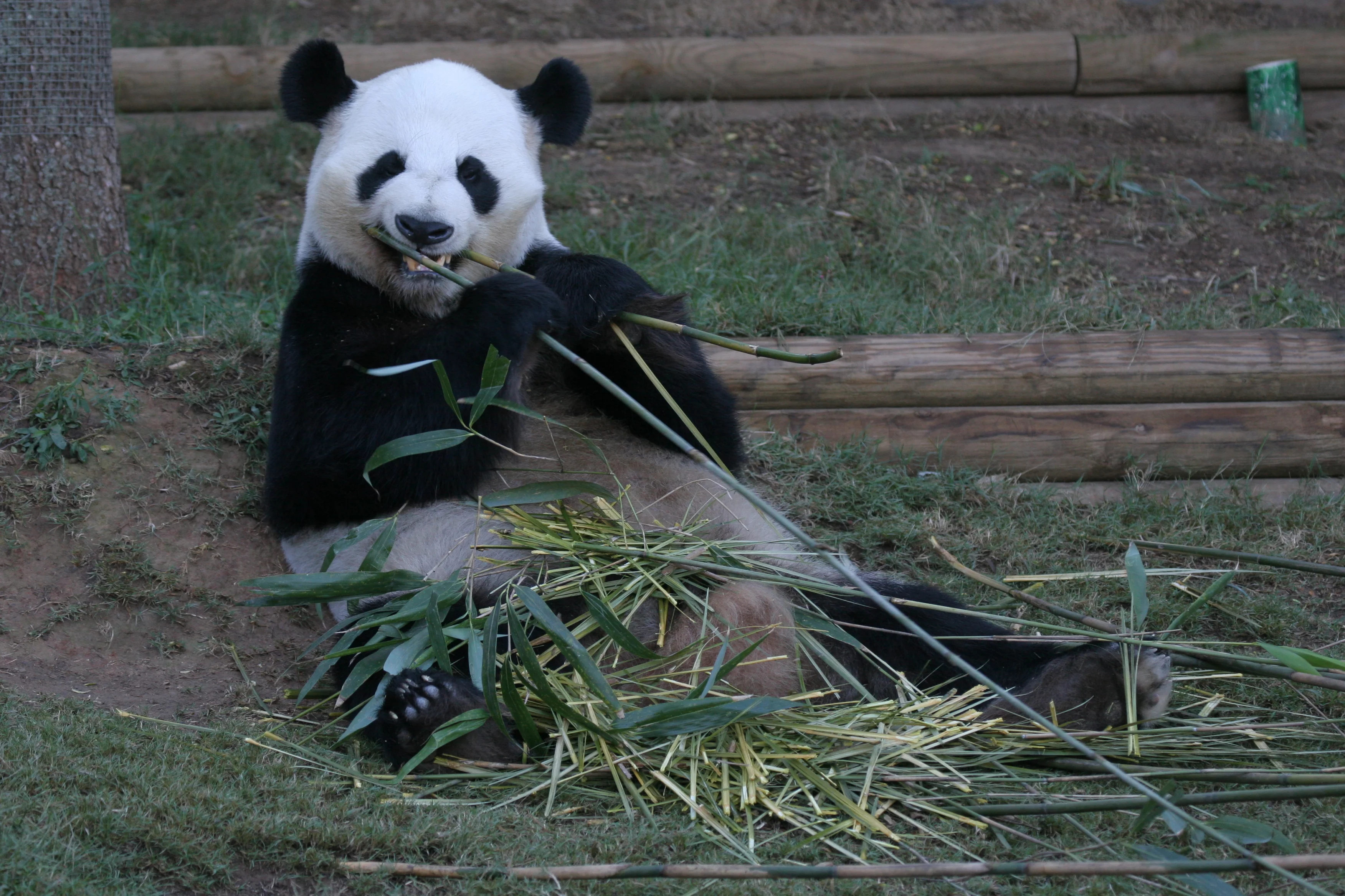 Zoo Atlanta