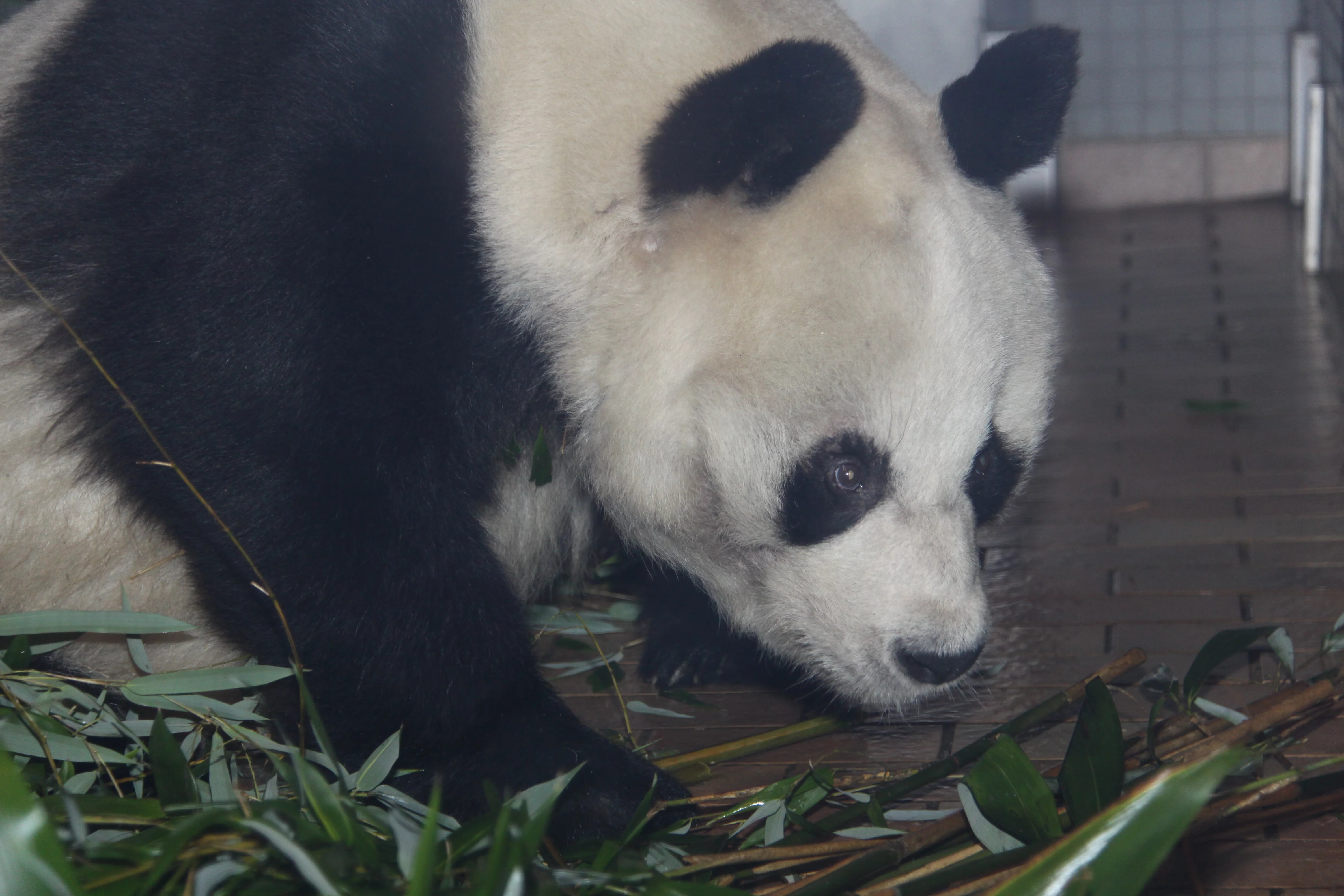 Zoo Berlin