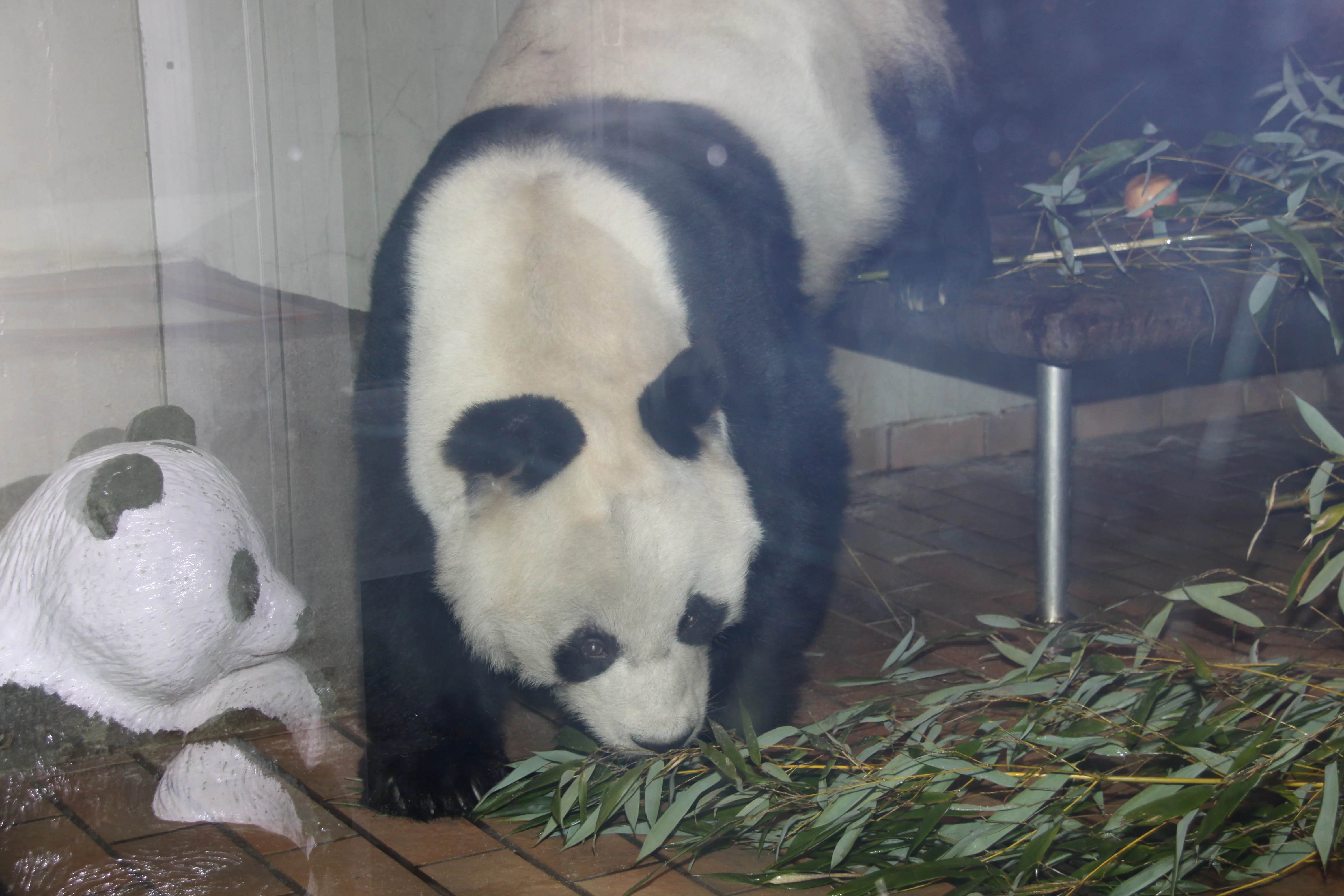 Zoo Berlin