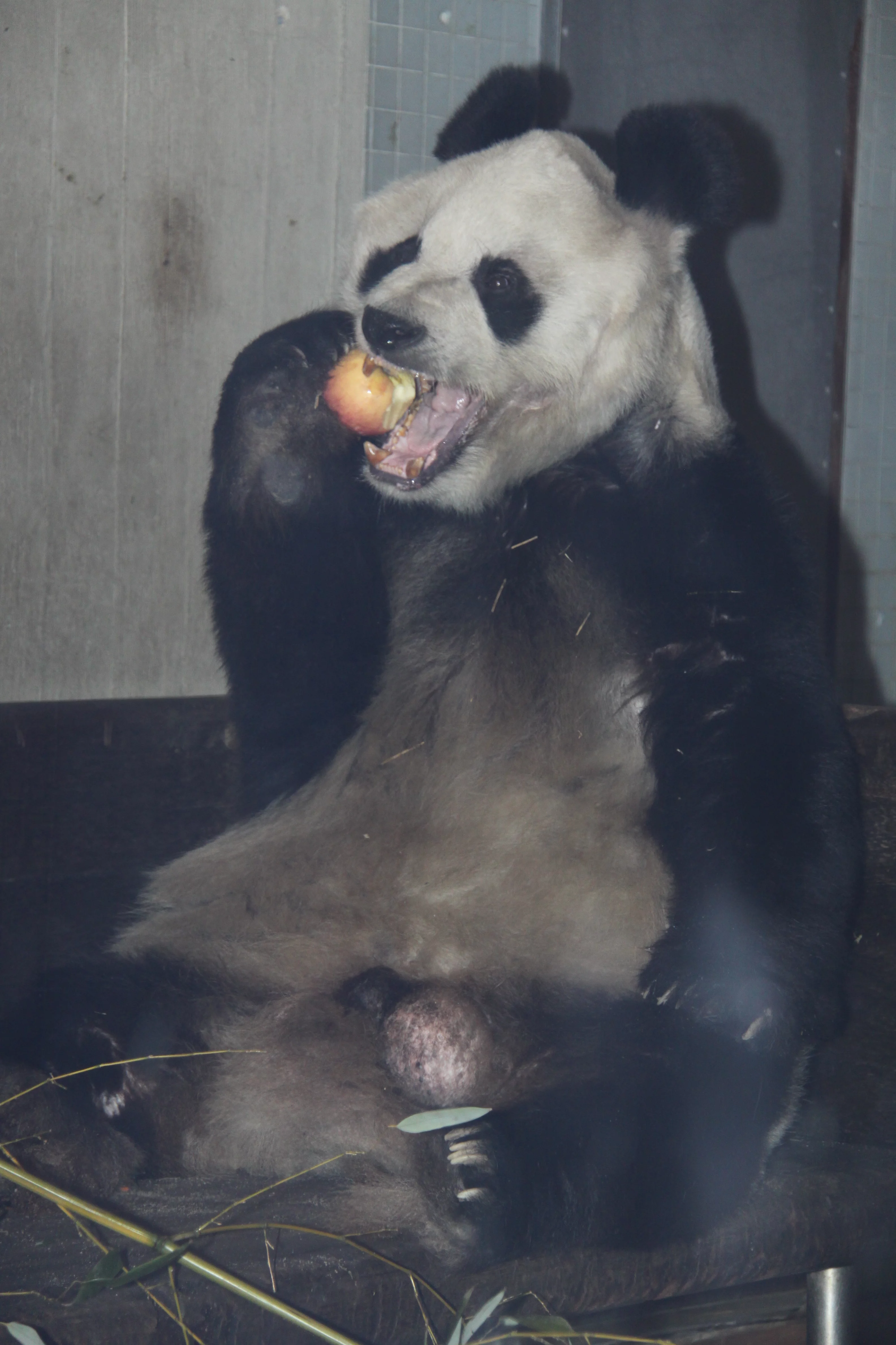 Zoo Berlin