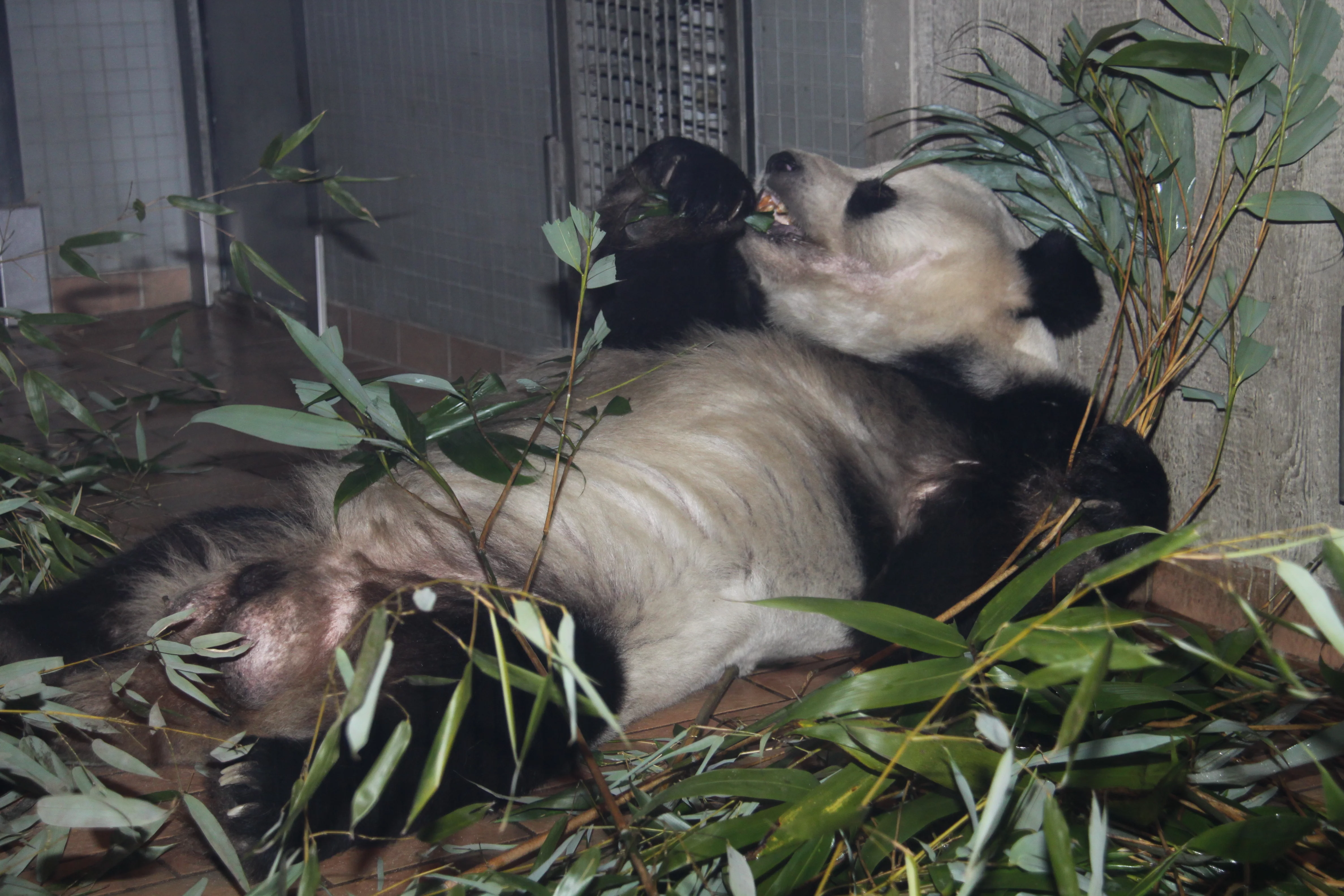 Zoo Berlin