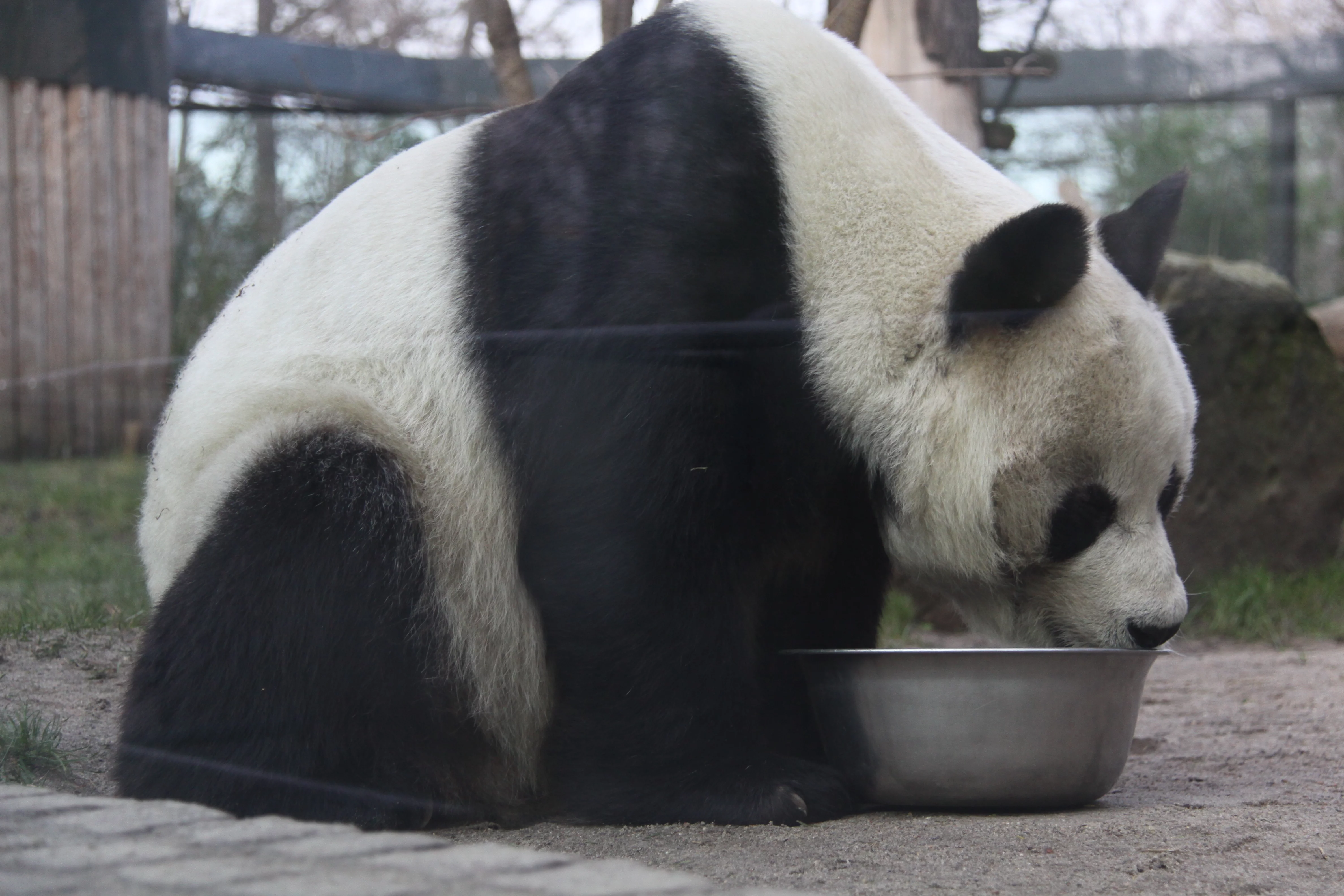 Zoo Berlin