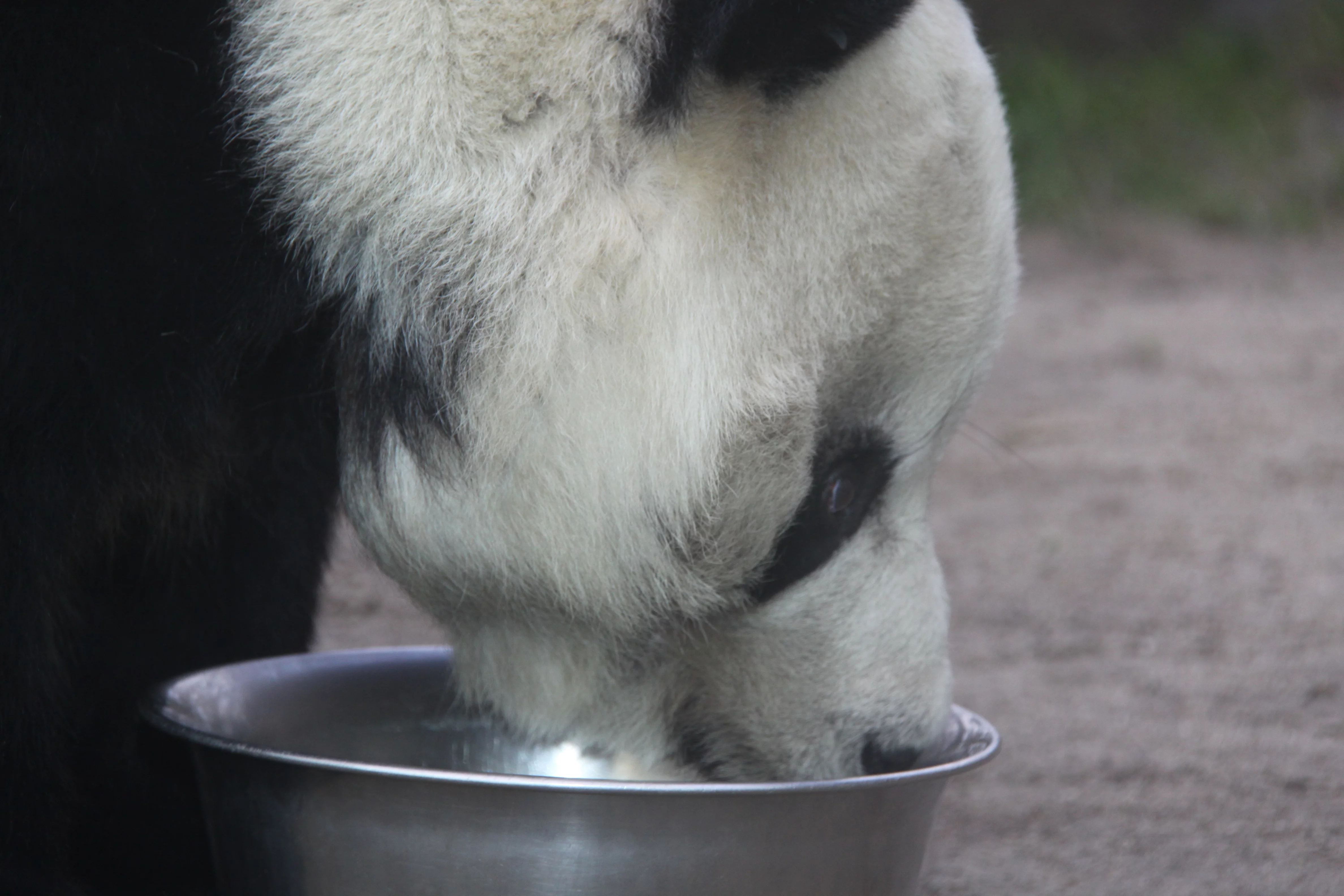 Zoo Berlin