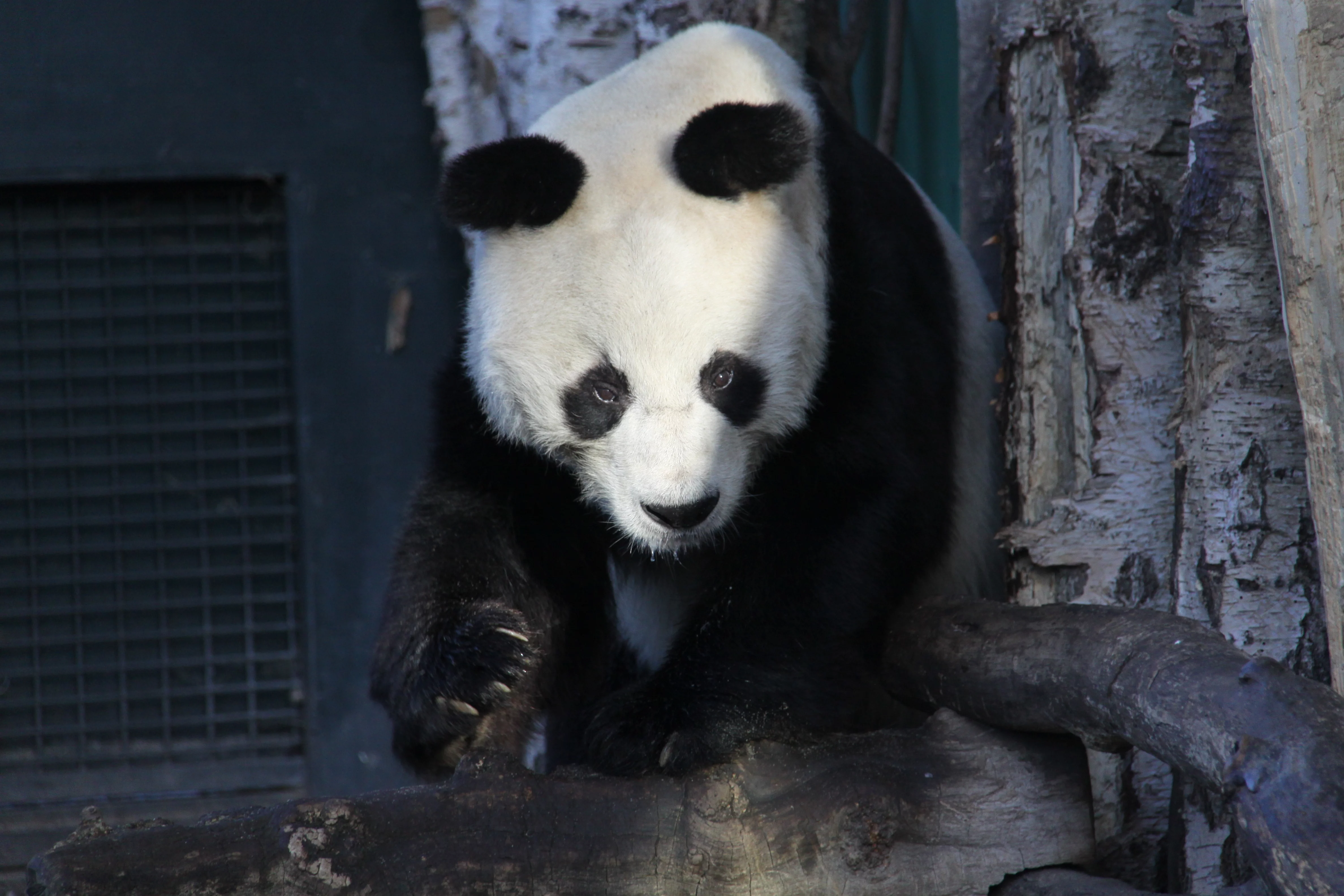 Zoo Berlin