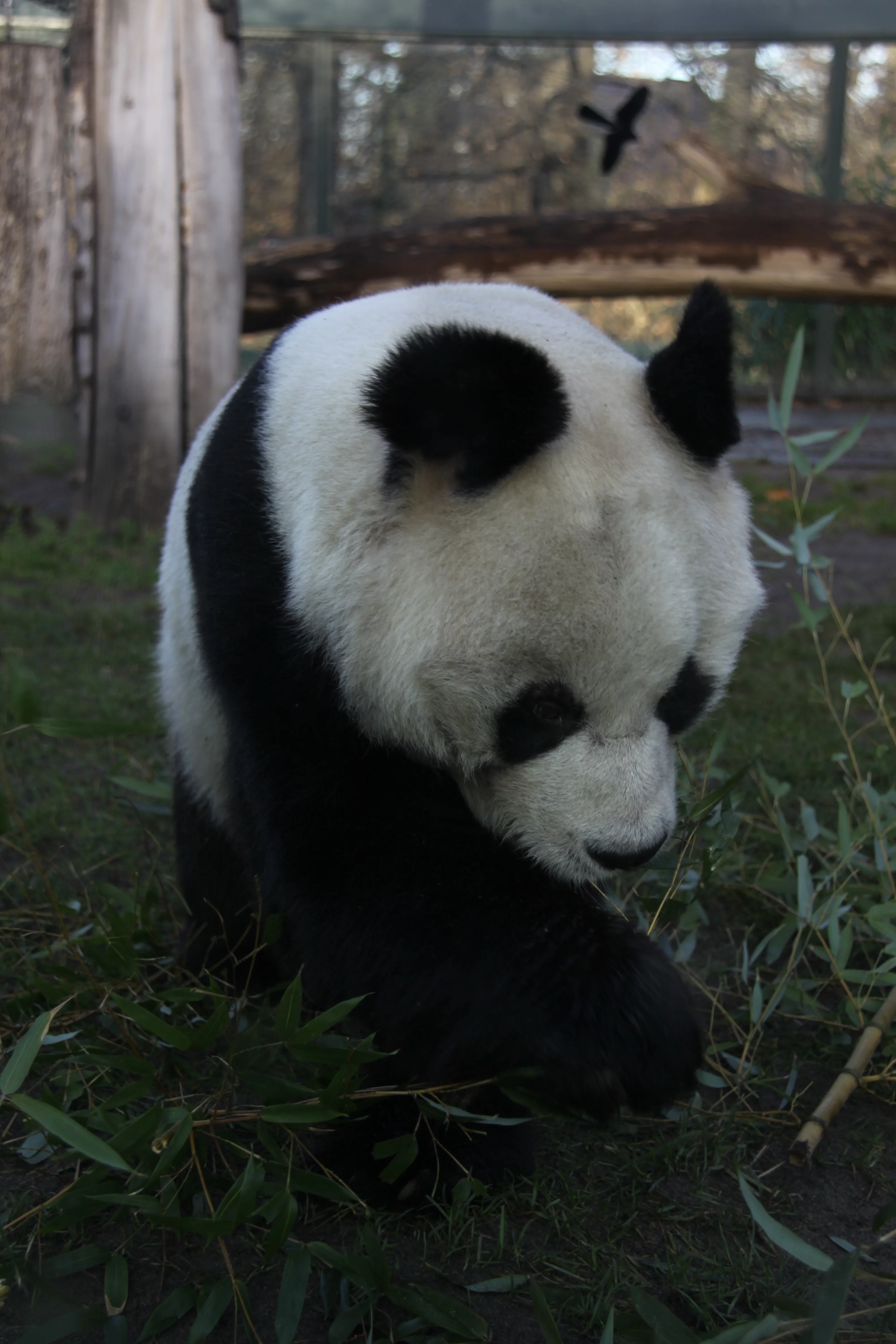 Zoo Berlin