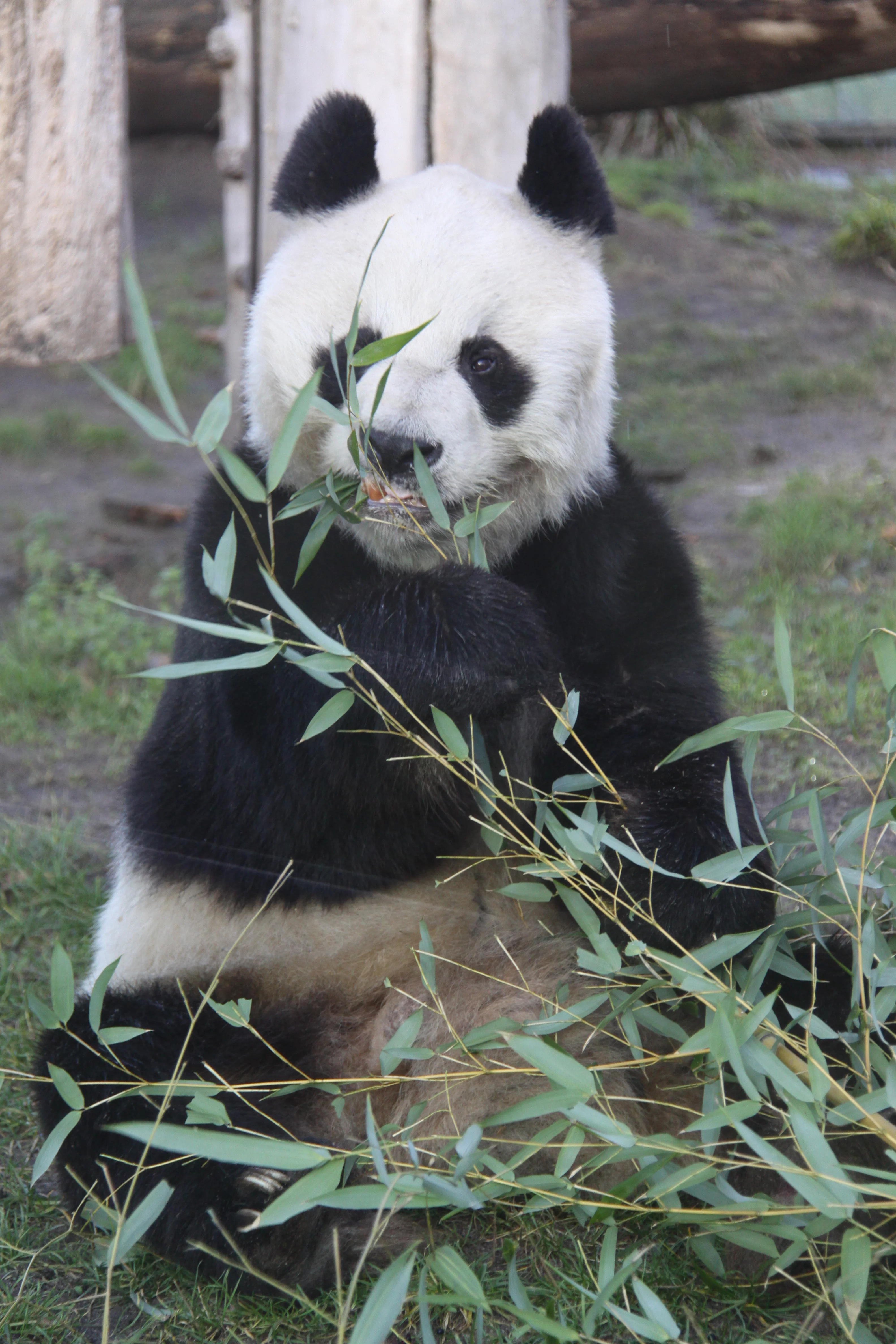 Zoo Berlin