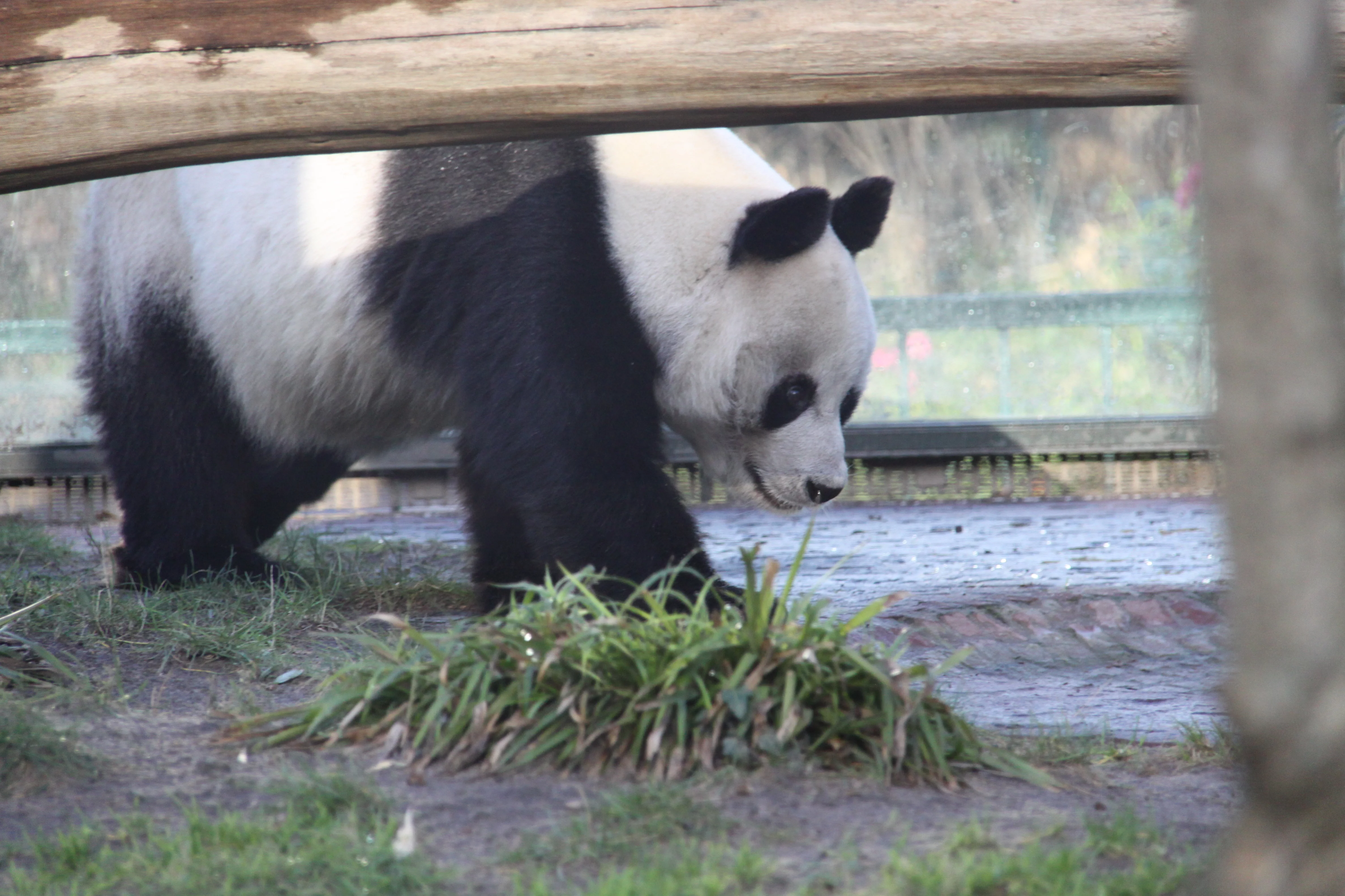 Zoo Berlin