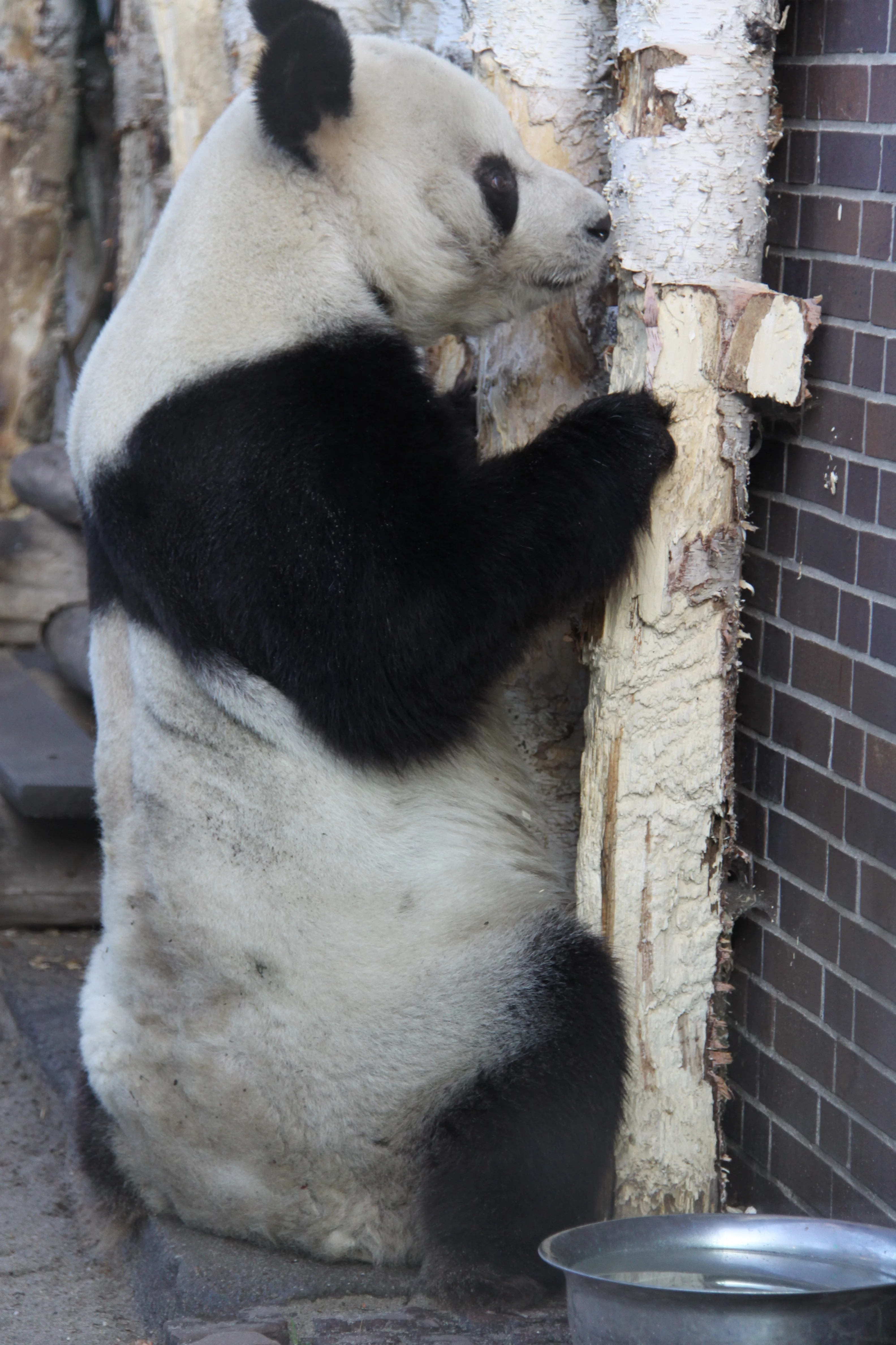 Zoo Berlin