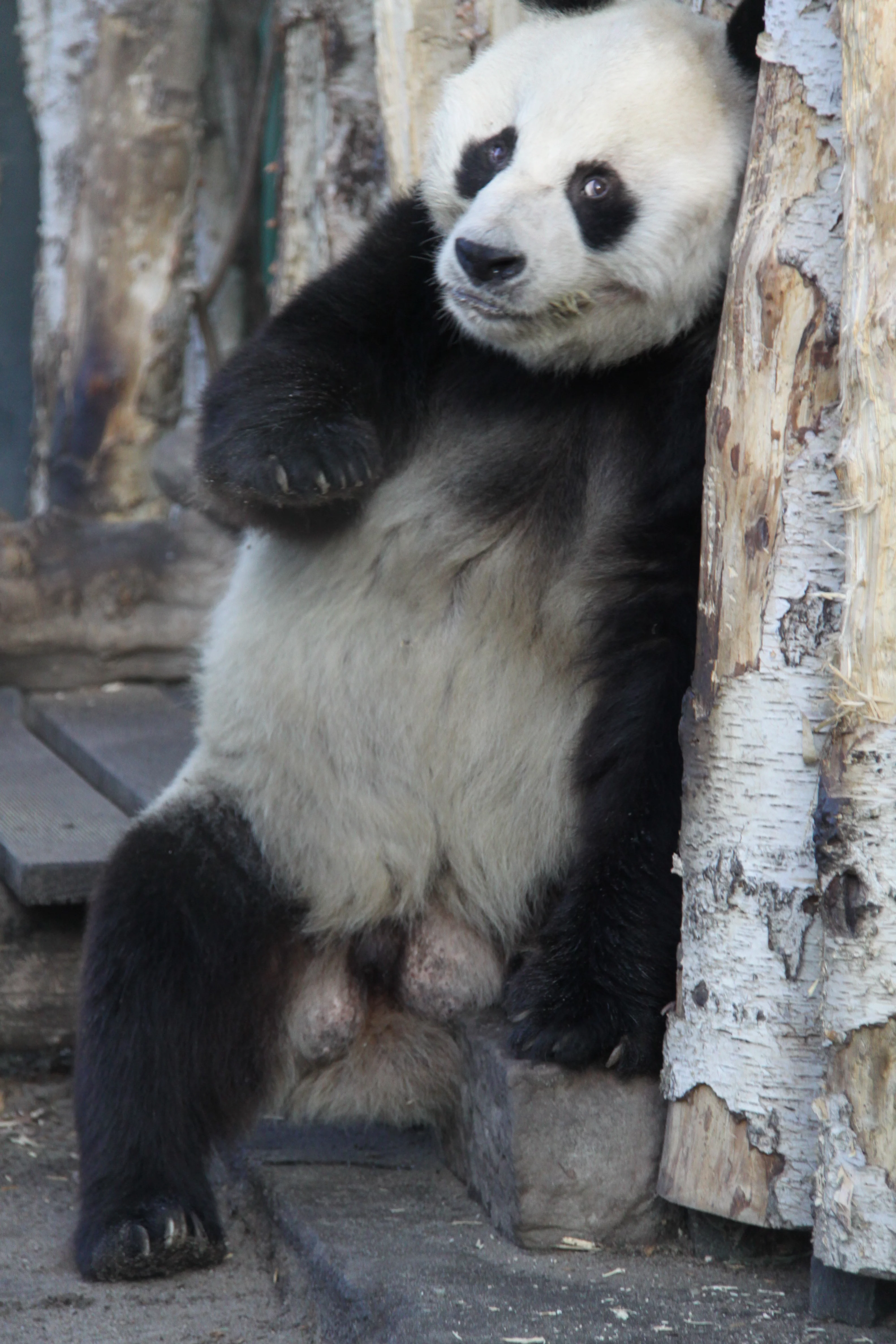 Zoo Berlin