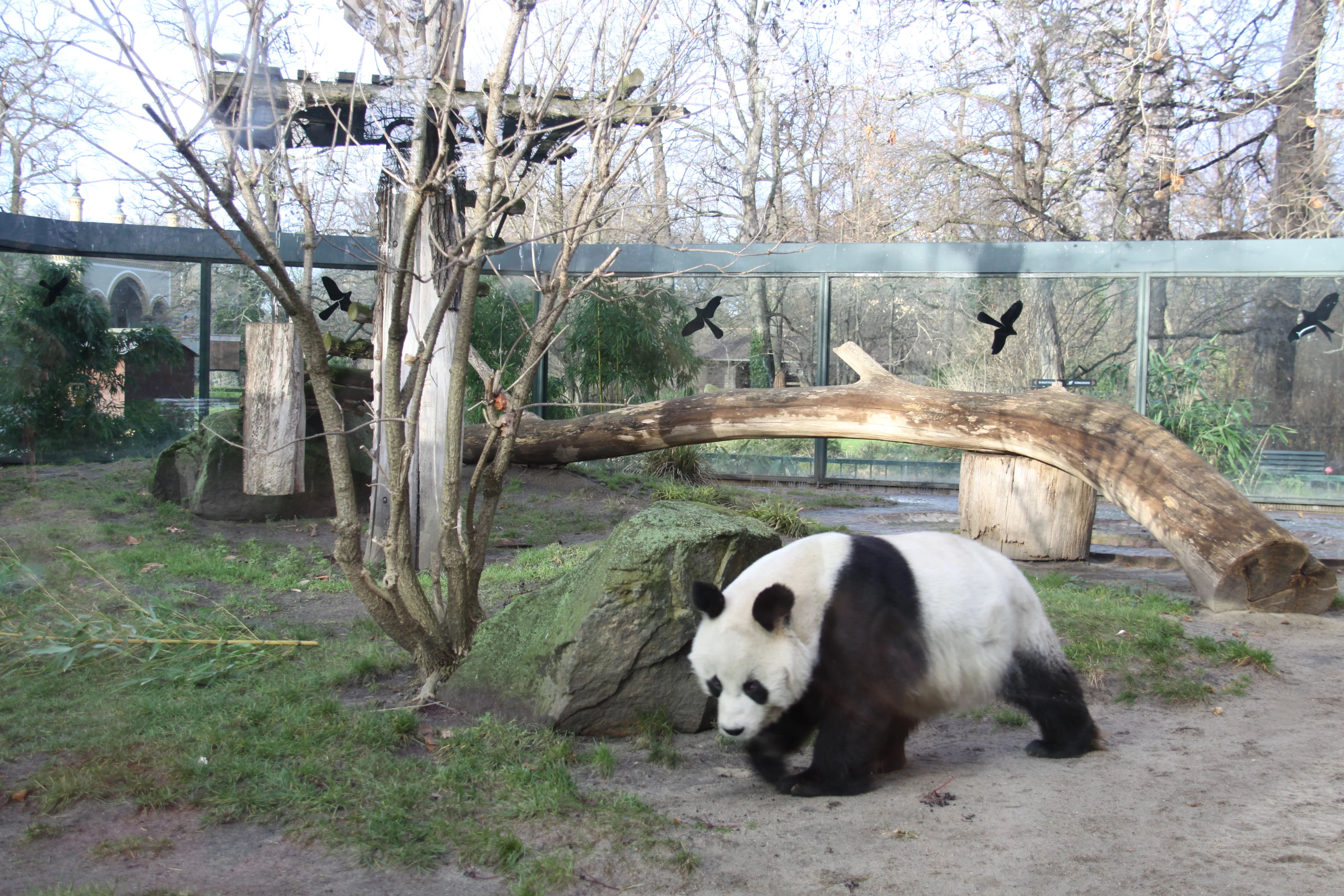 Zoo Berlin