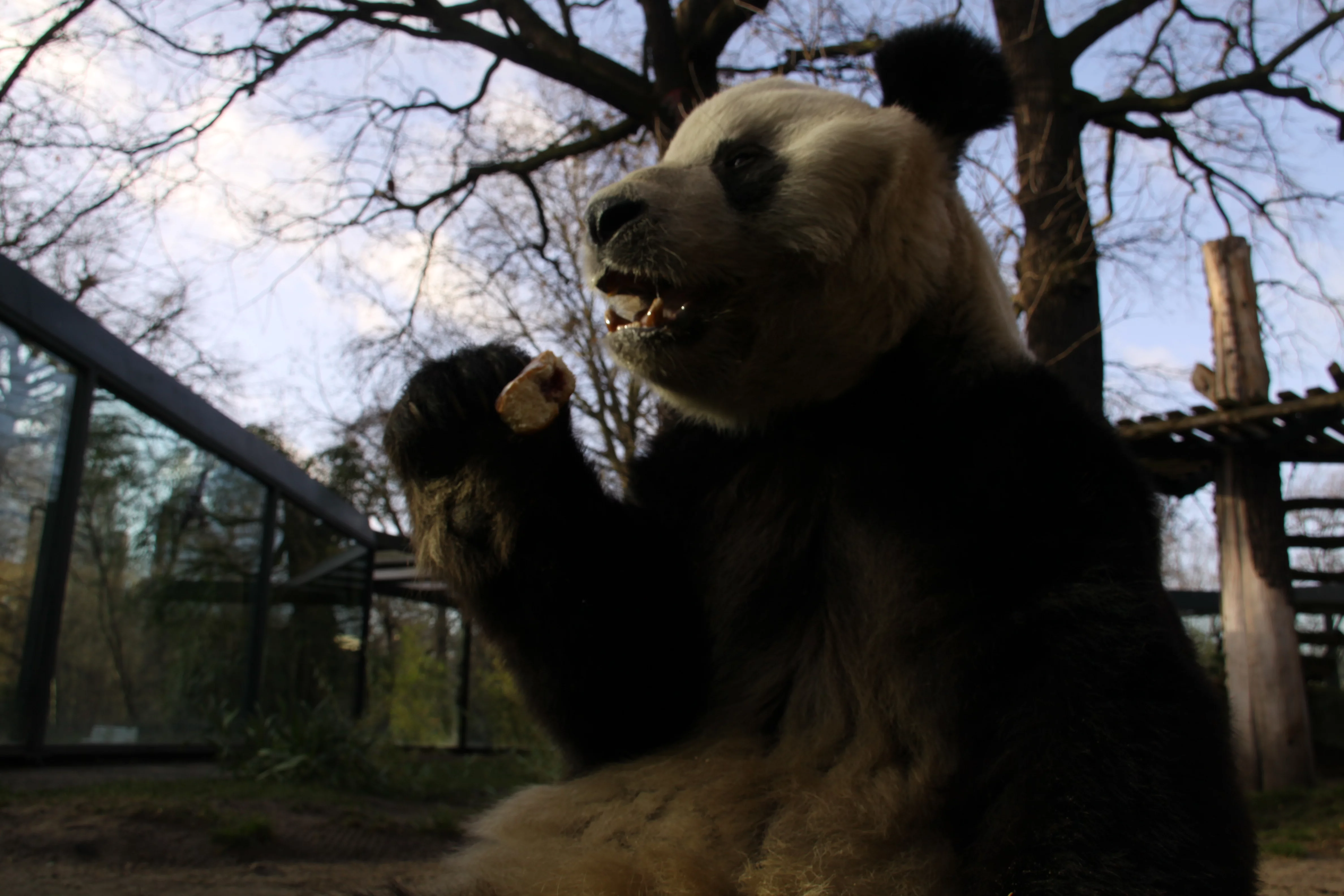 Zoo Berlin