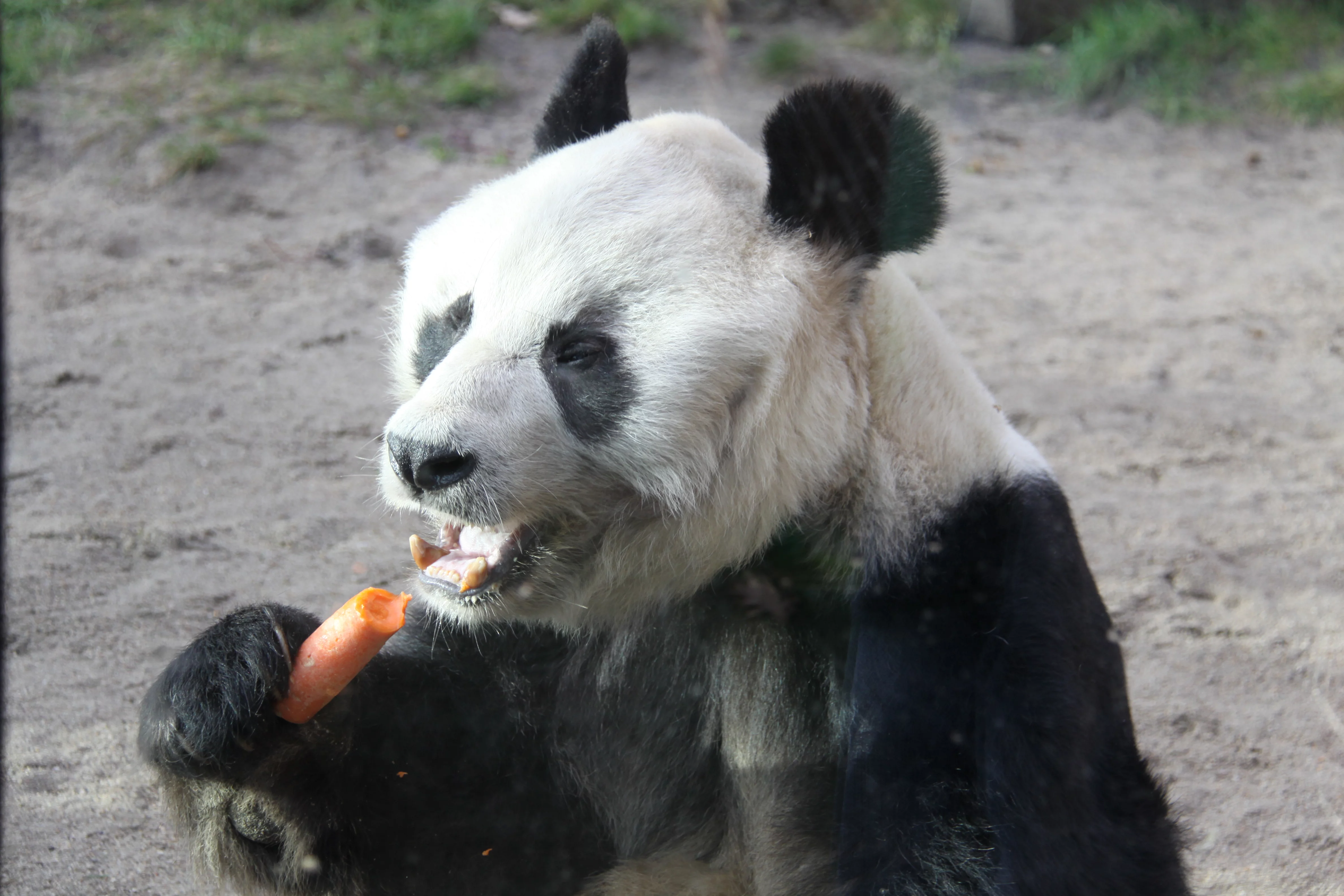 Zoo Berlin