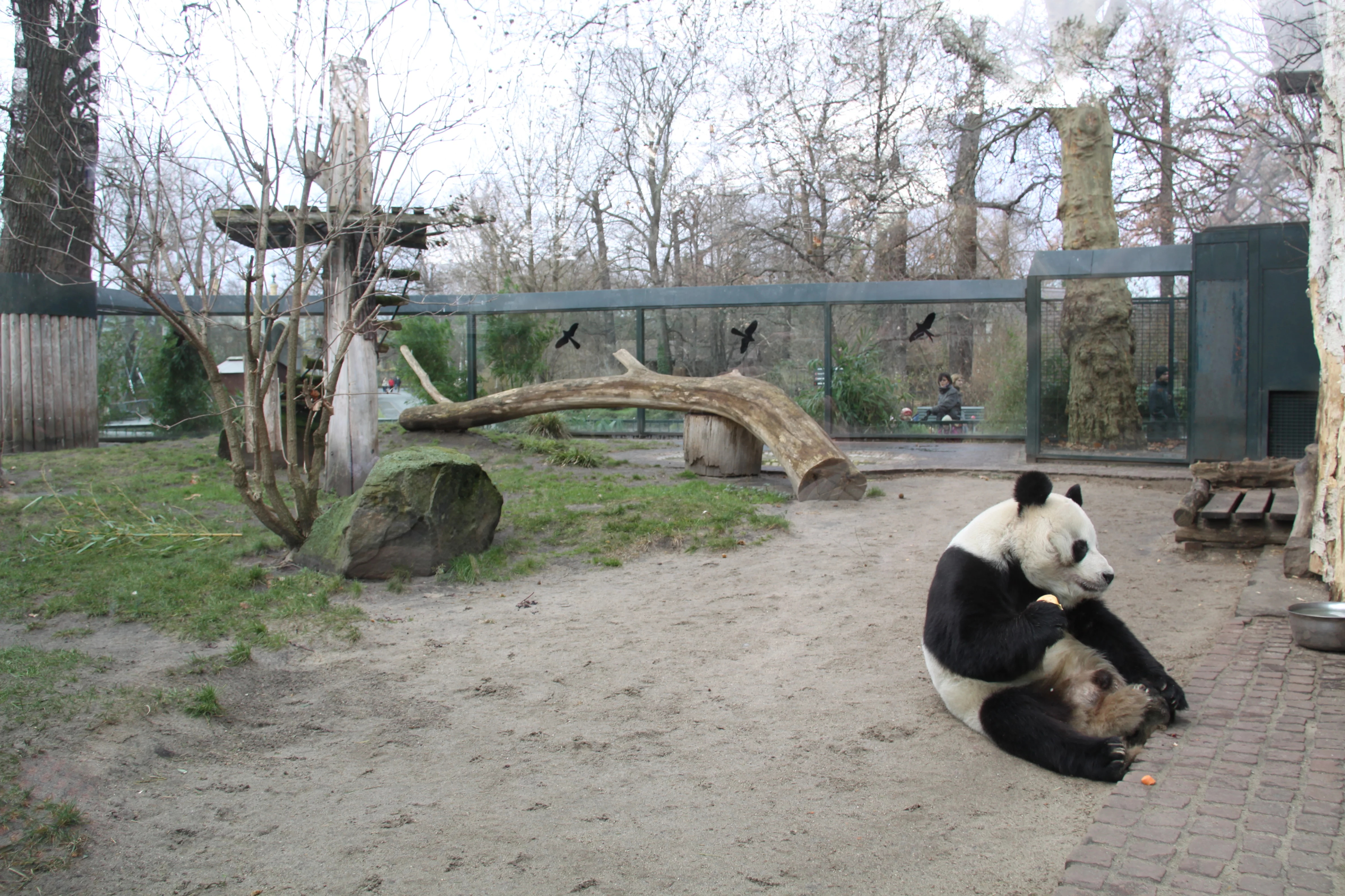 Zoo Berlin