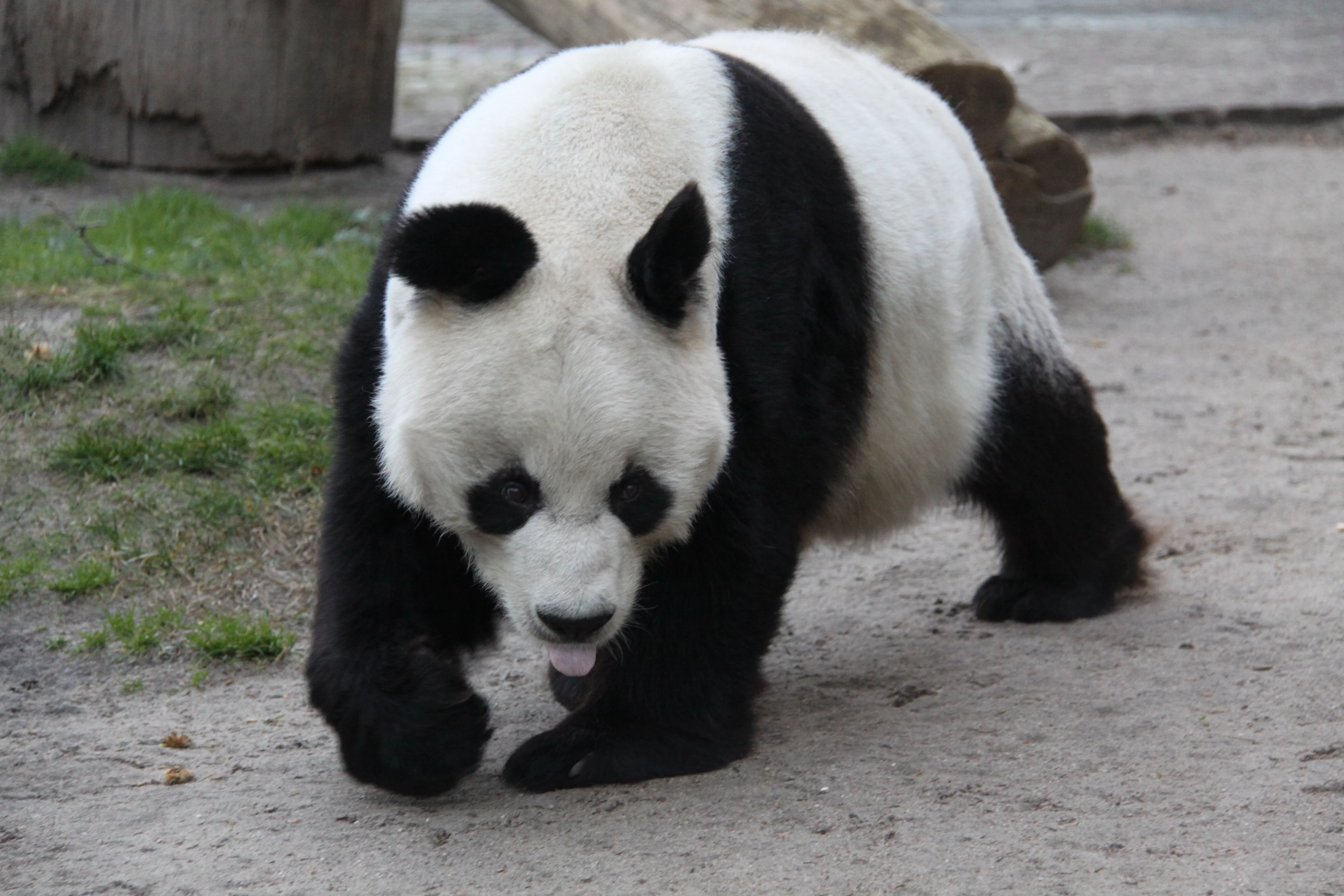Zoo Berlin