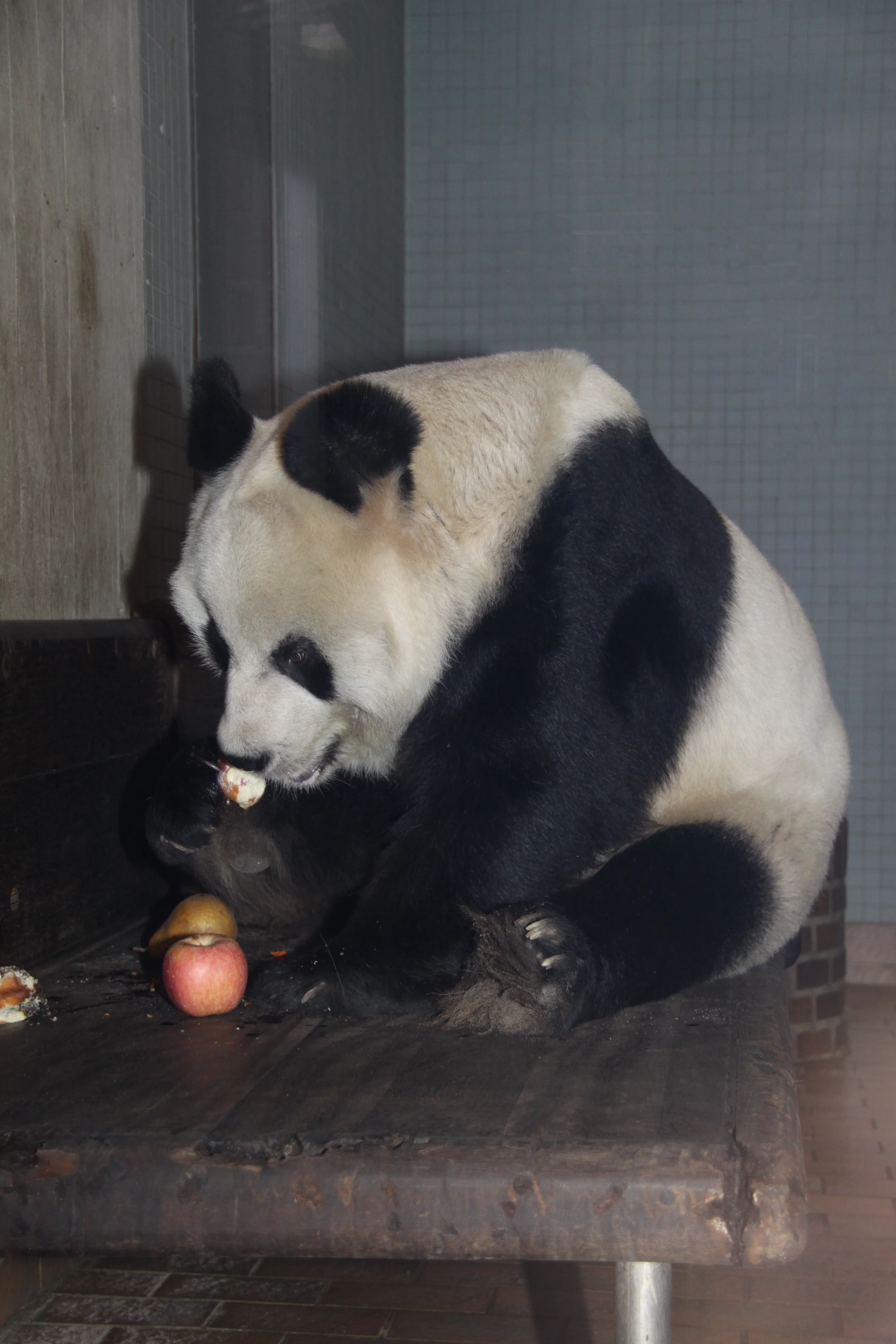 Zoo Berlin