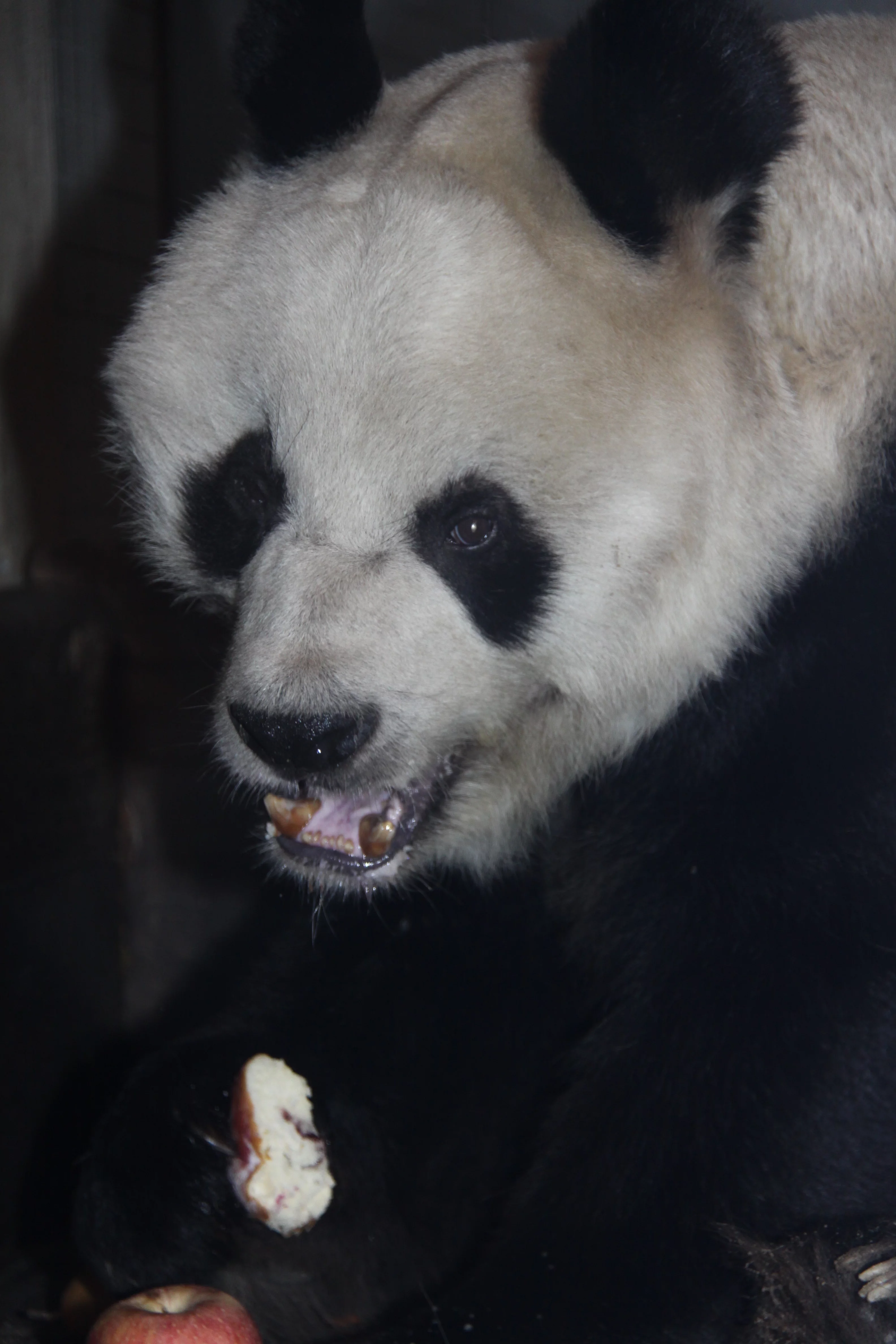 Zoo Berlin